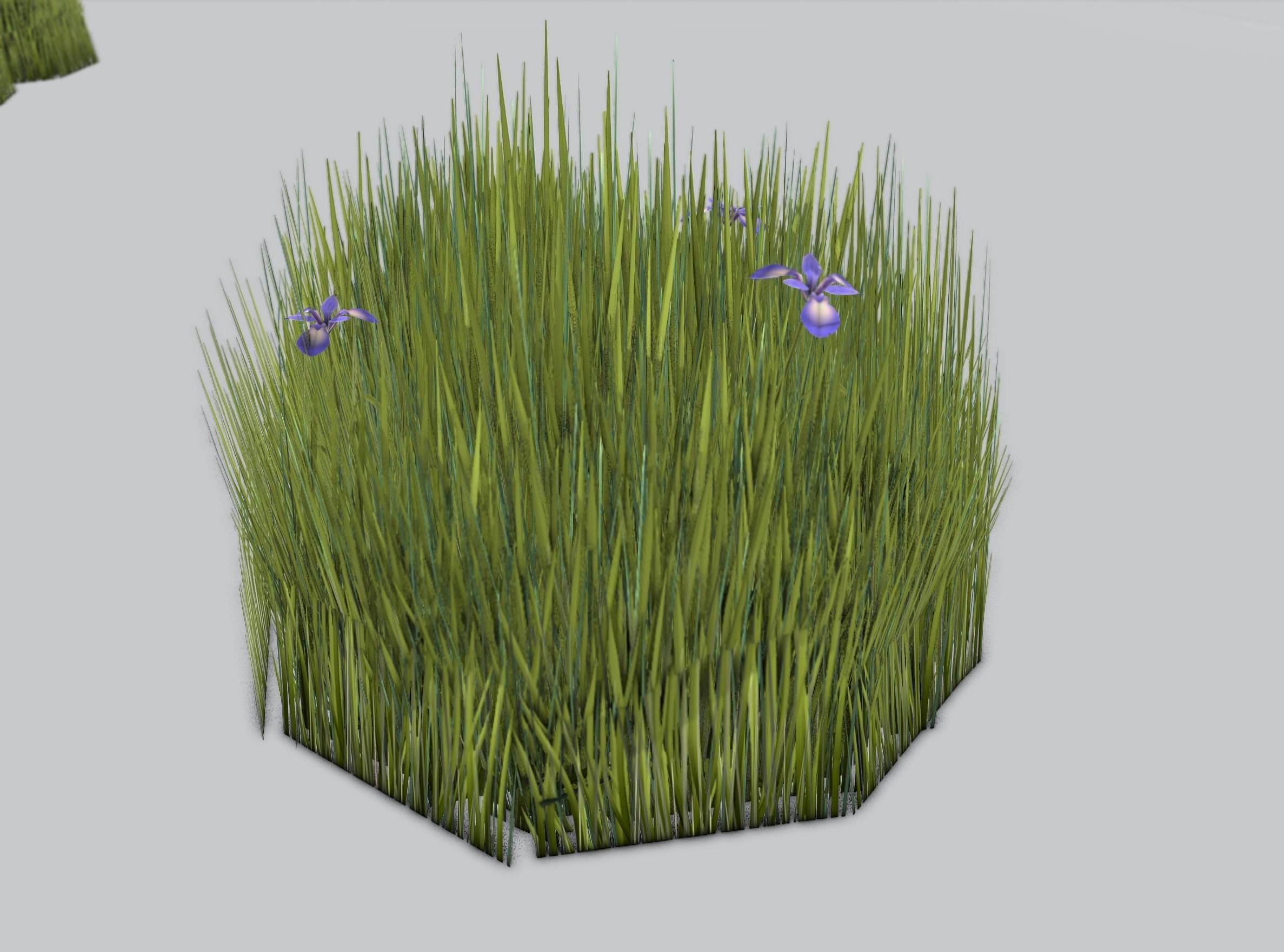 Reeds - Object 48 Low-poly 3D model_33