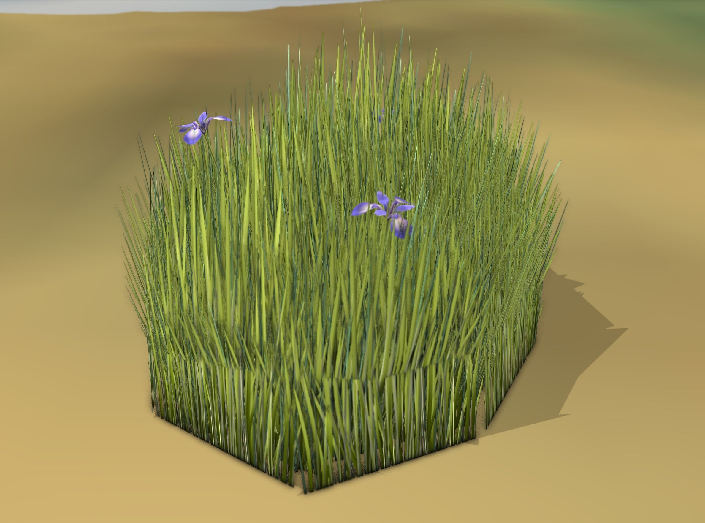 Reeds - Object 48 Low-poly 3D model_4