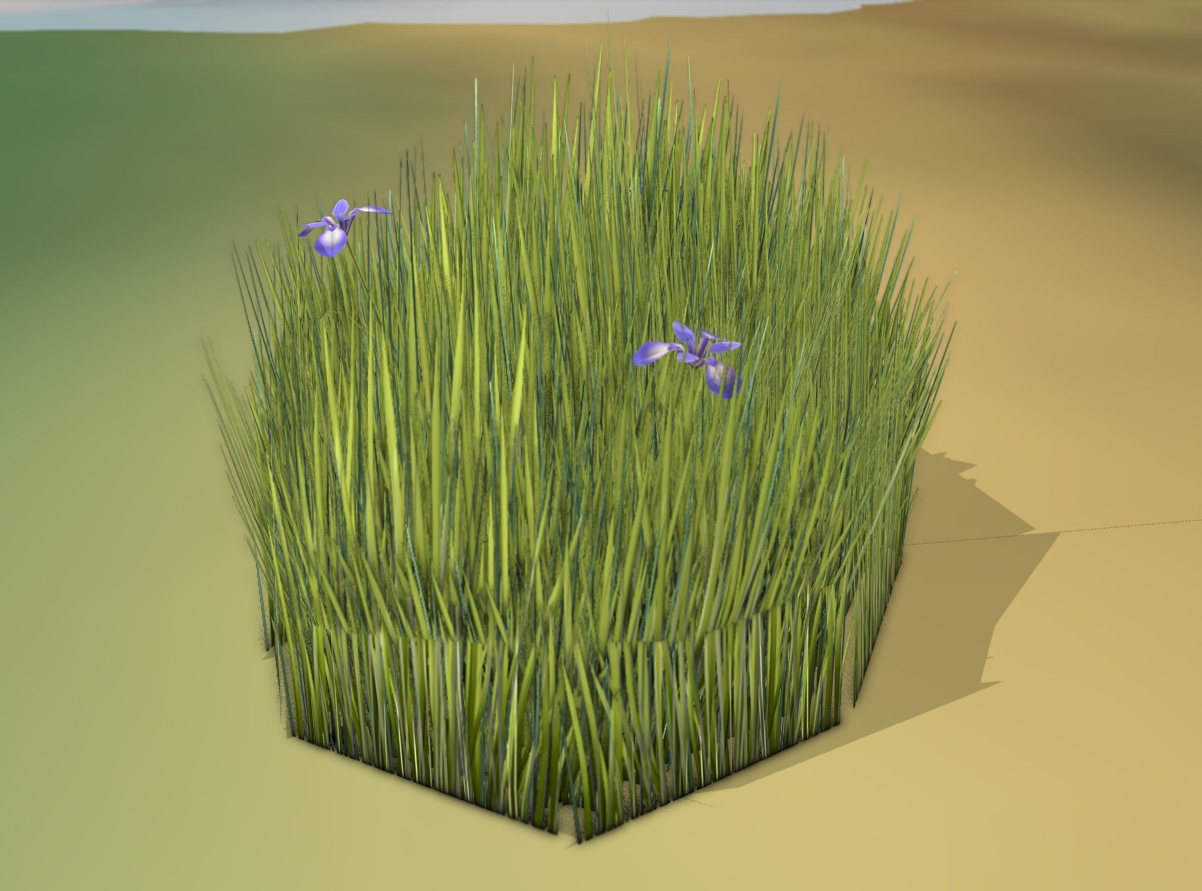 Reeds - Object 48 Low-poly 3D model_3