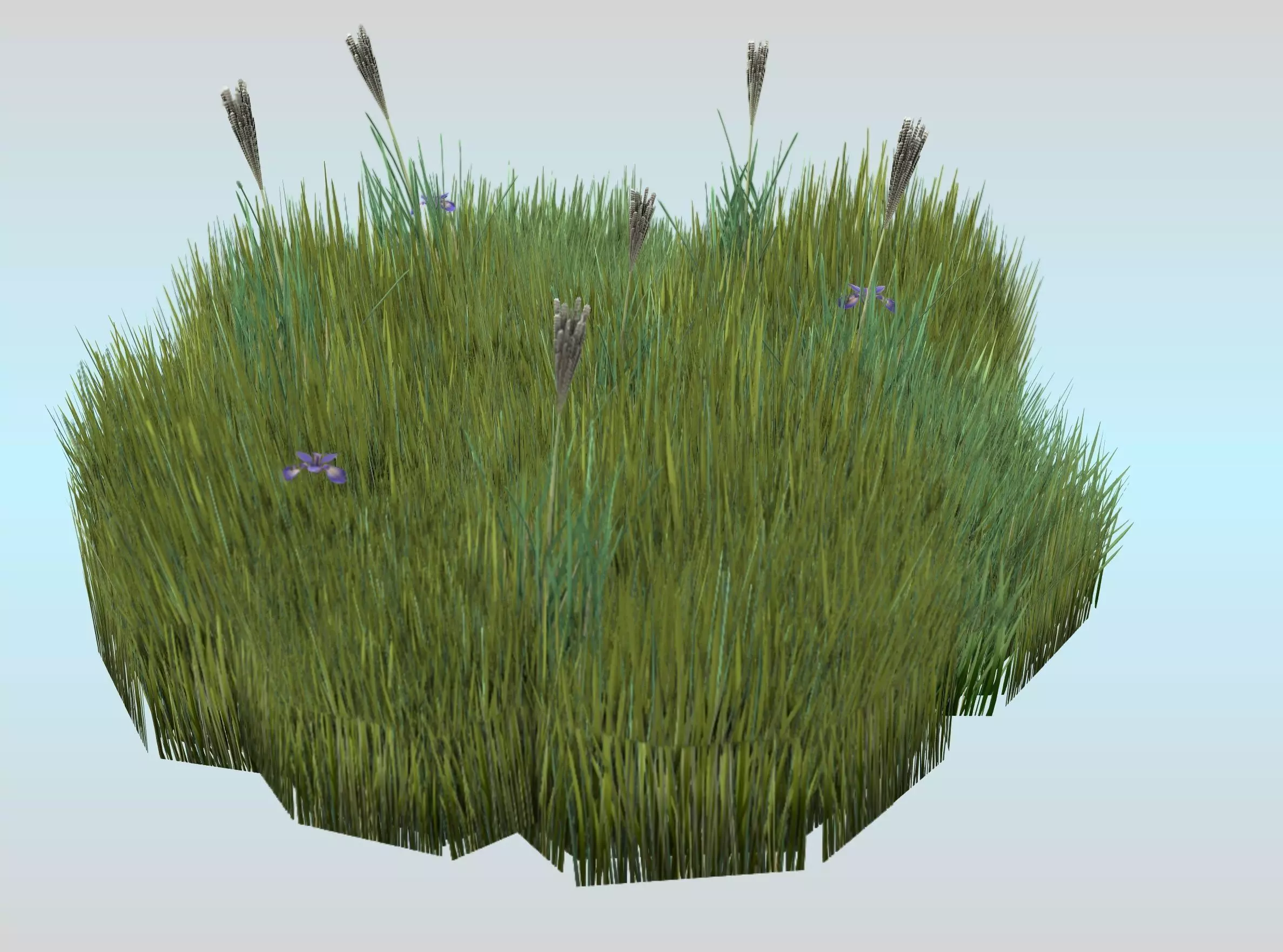 Revit Reeds 3D model Reeds - Object 50 VR / AR / low-poly | CGTrader