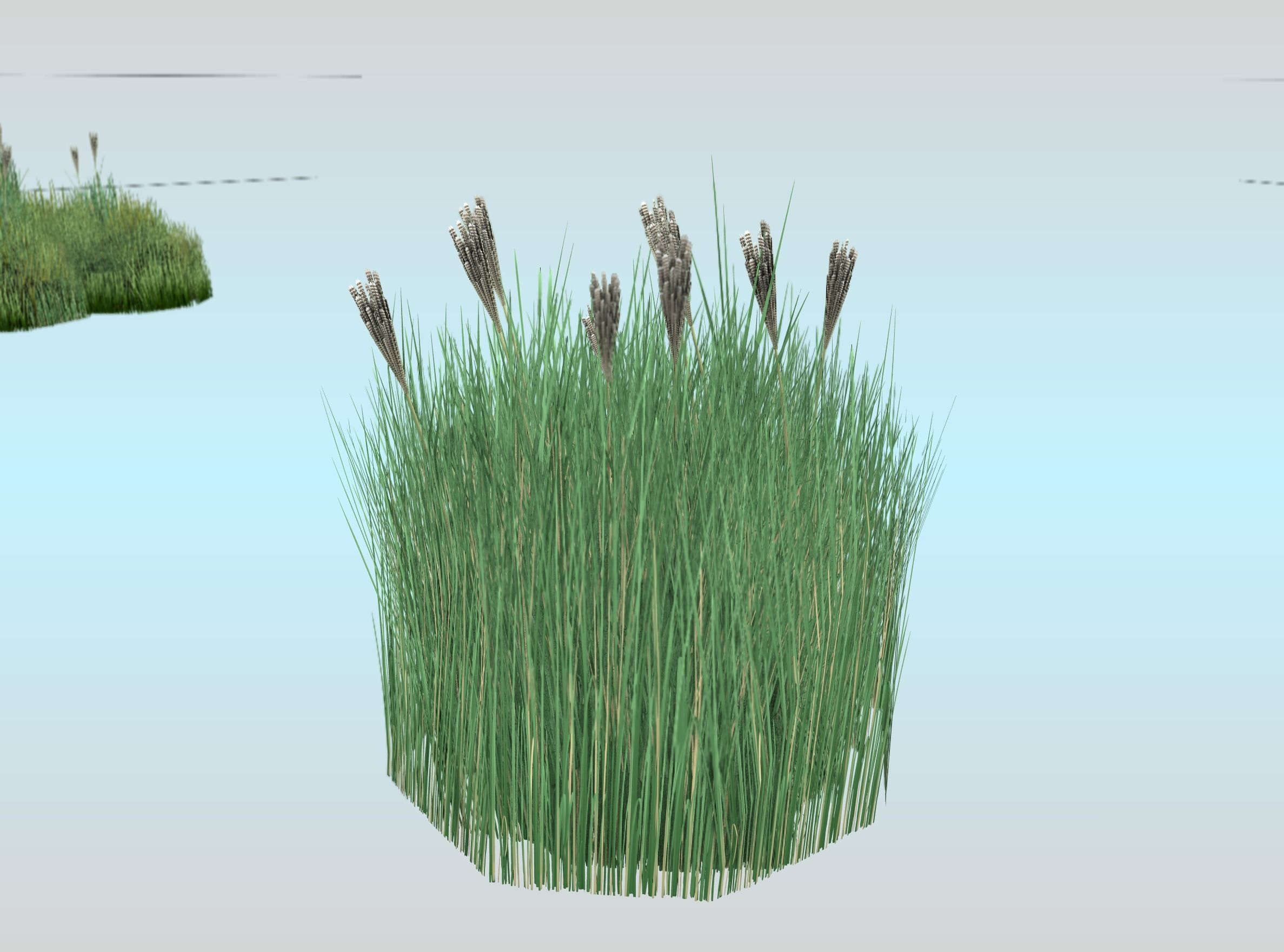 Reeds - Object 53 Low-poly 3D model_29