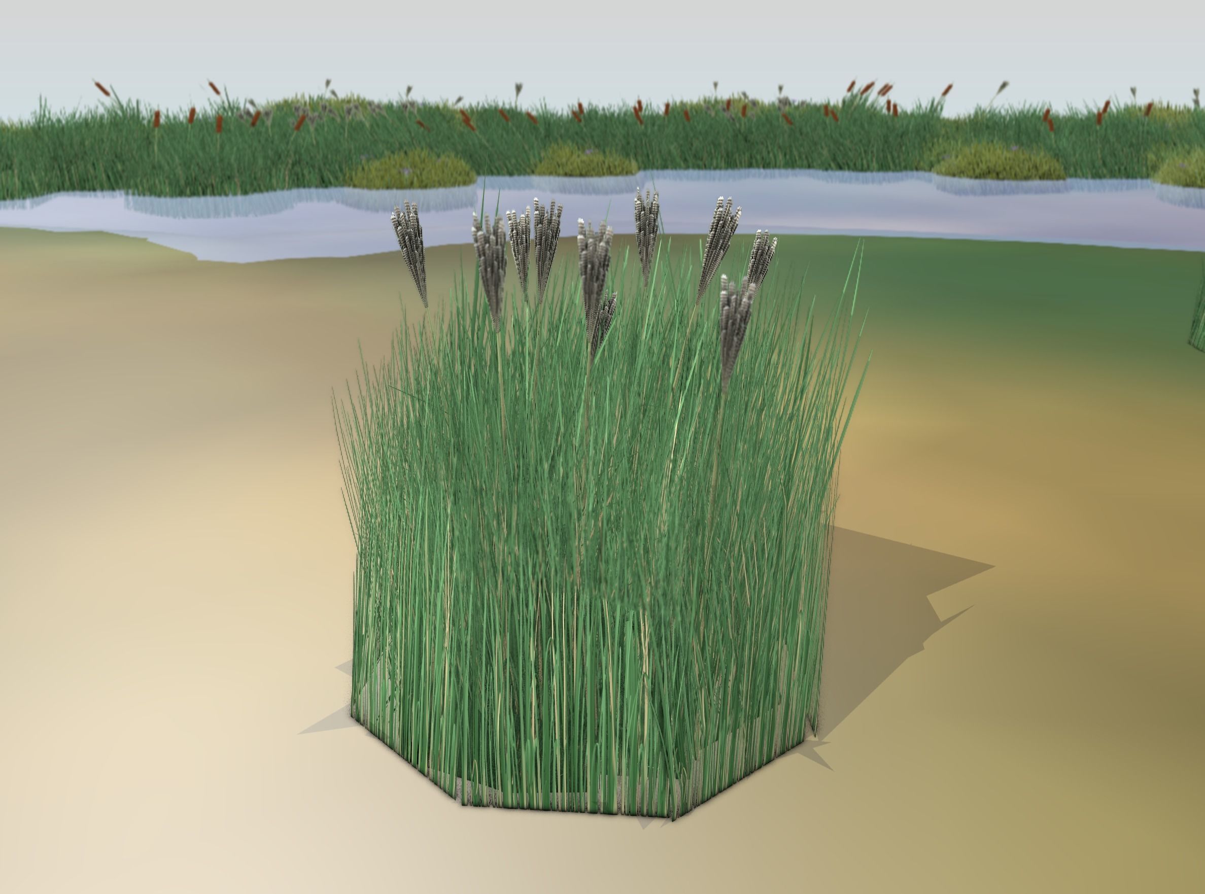 Reeds - Object 53 Low-poly 3D model_16