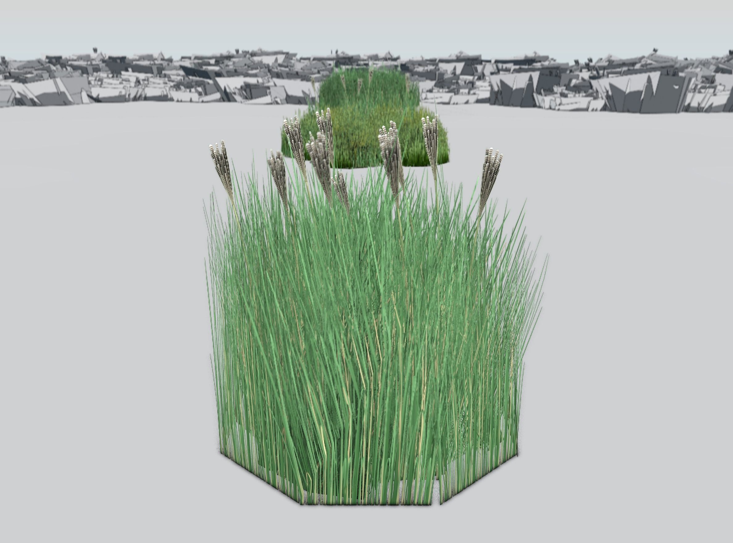 Reeds - Object 53 Low-poly 3D model_34