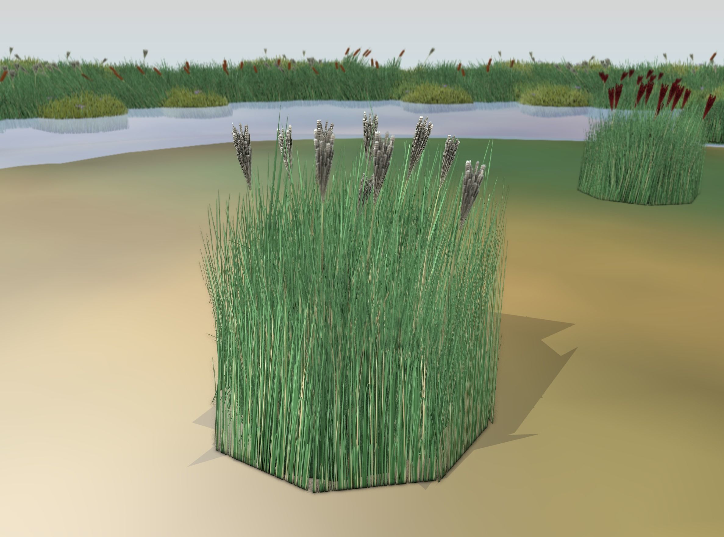 Reeds - Object 53 Low-poly 3D model_14