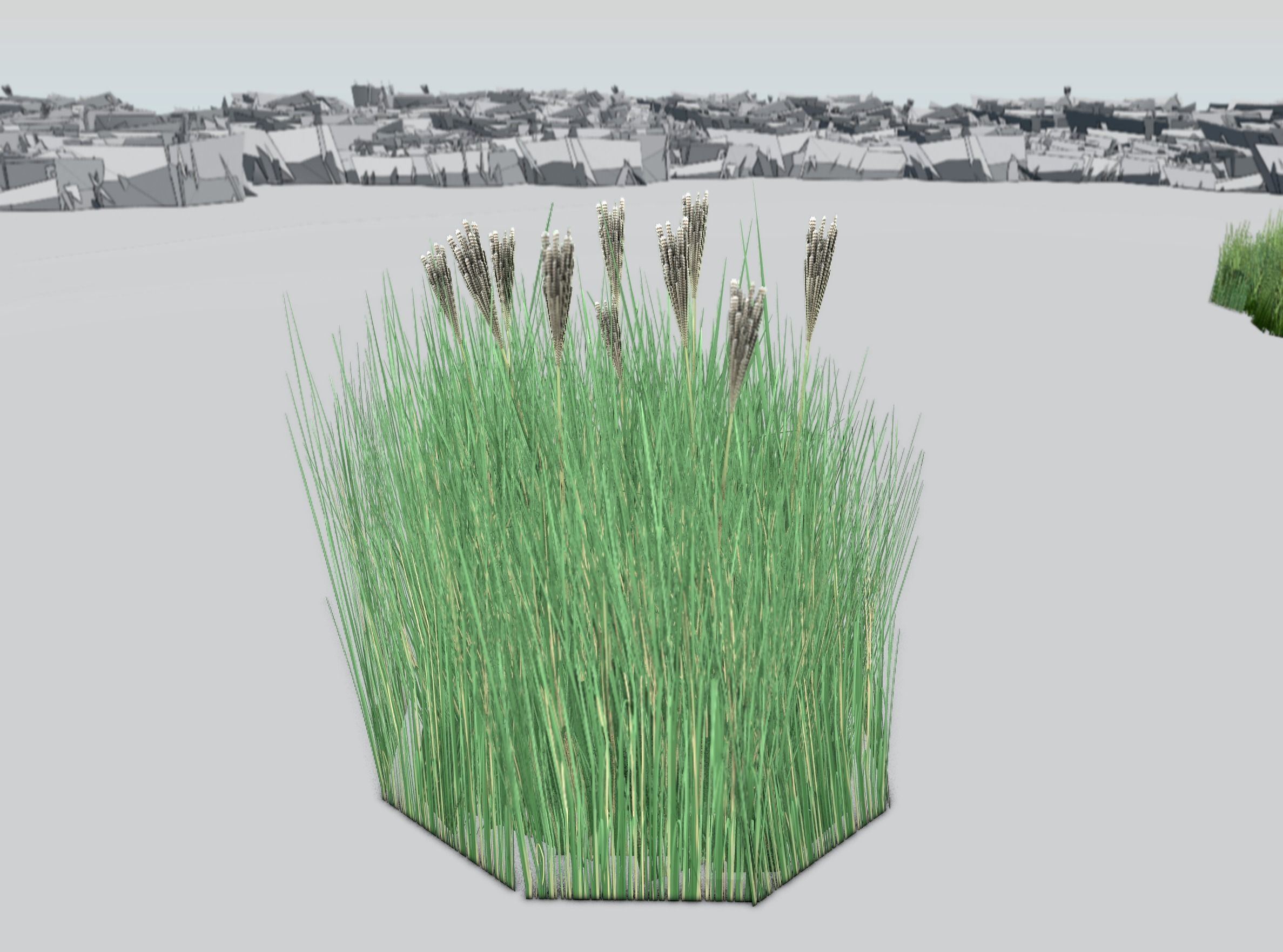 Reeds - Object 53 Low-poly 3D model_40