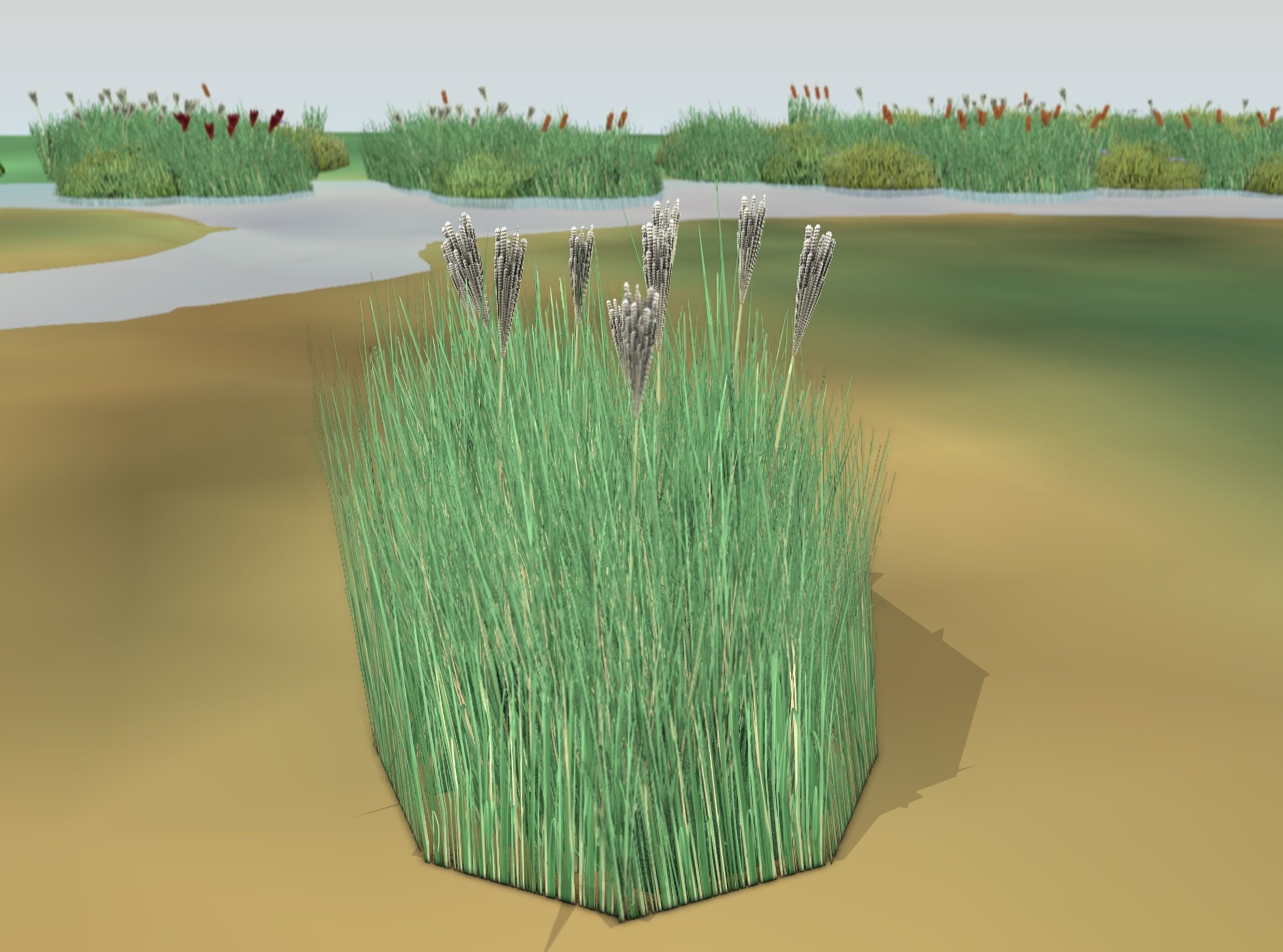 Reeds - Object 53 Low-poly 3D model_43