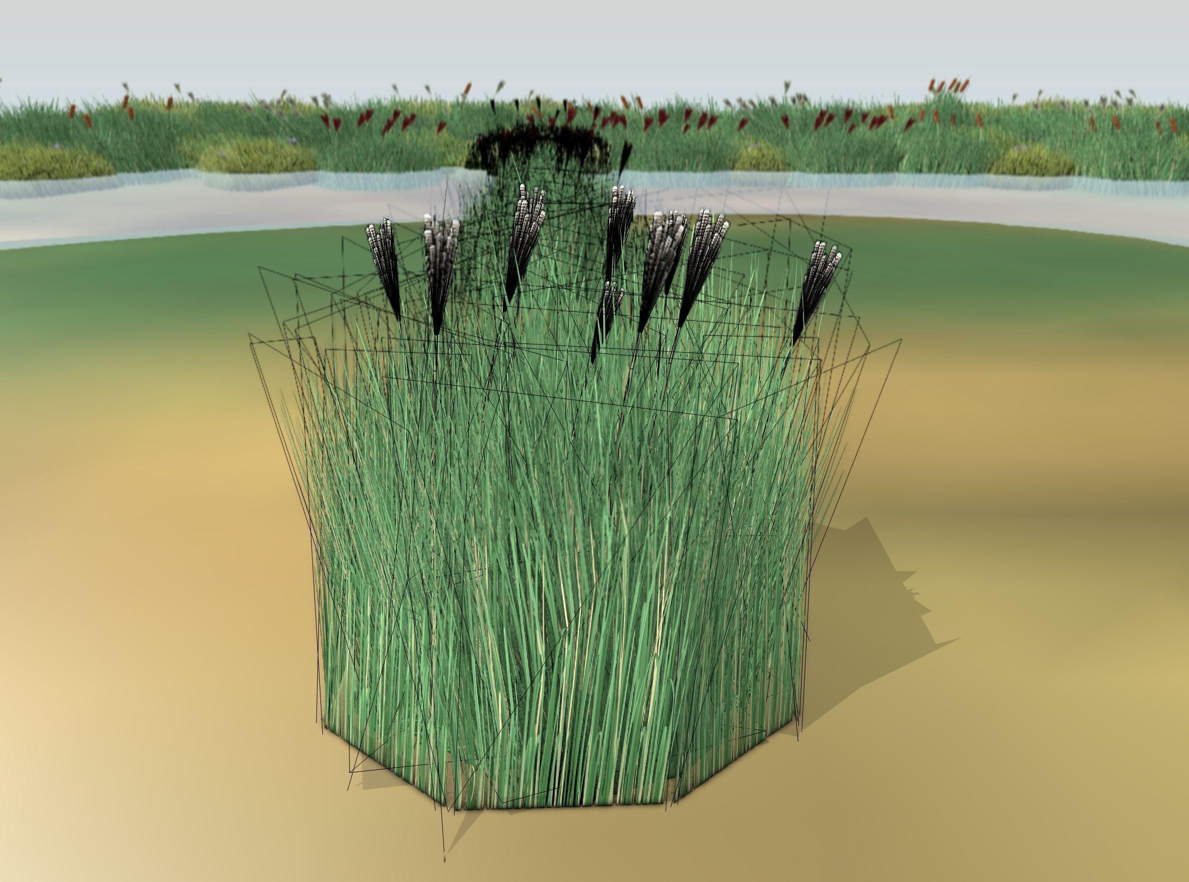 Reeds - Object 53 Low-poly 3D model_9