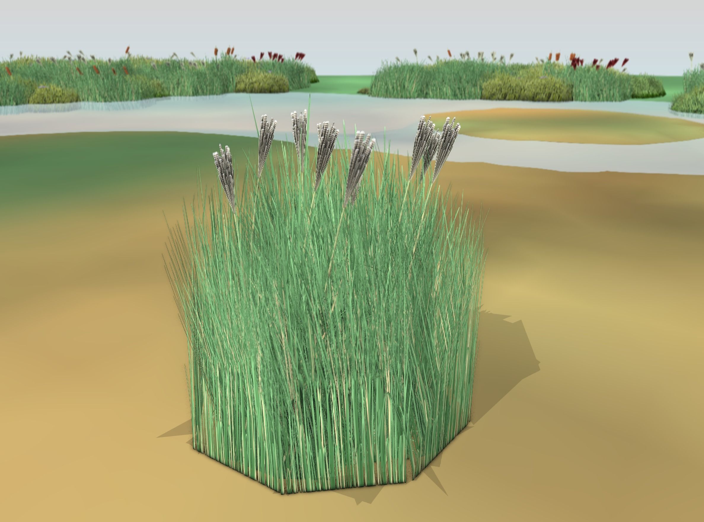 Reeds - Object 53 Low-poly 3D model_2