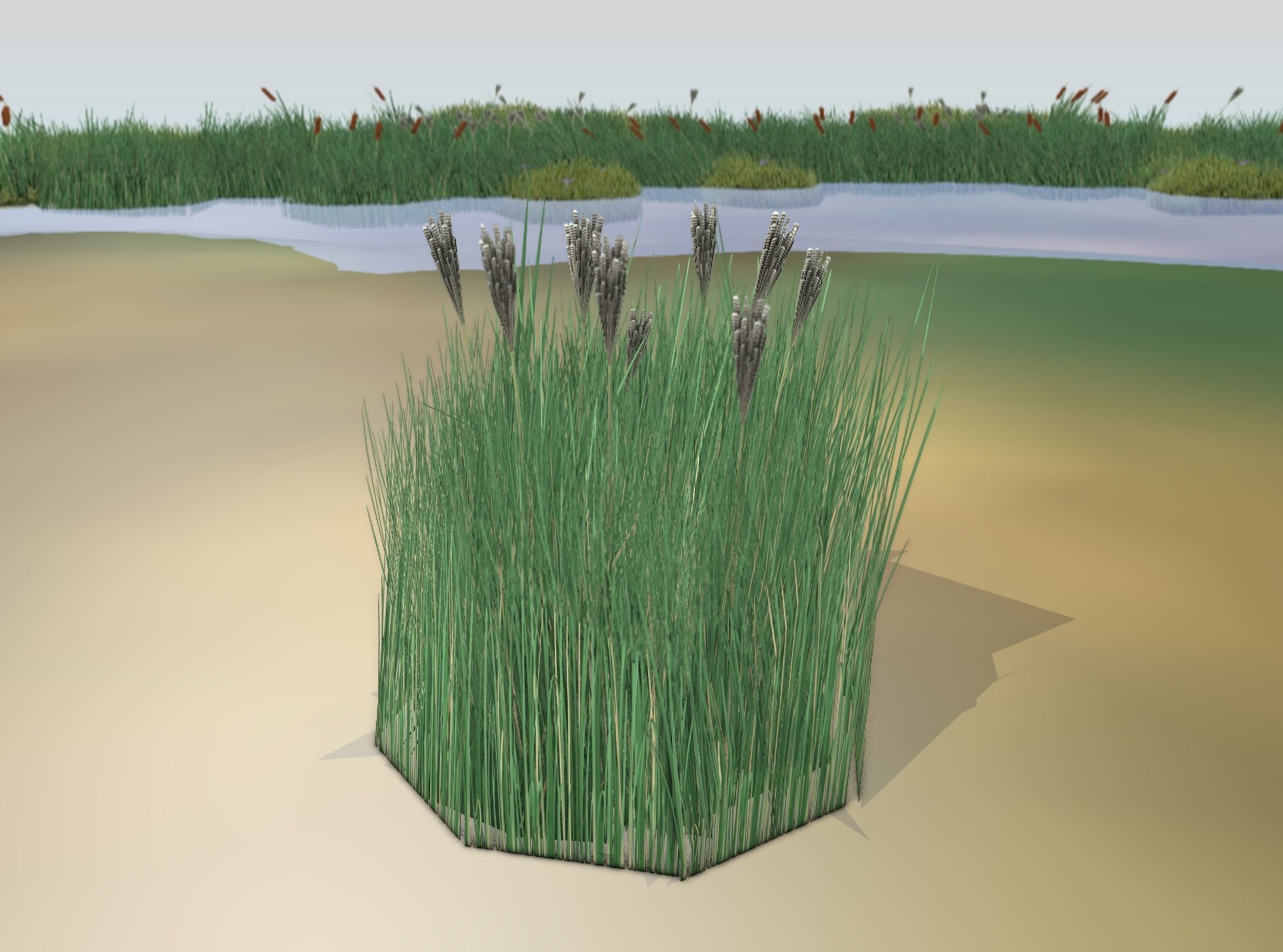 Reeds - Object 53 Low-poly 3D model_17