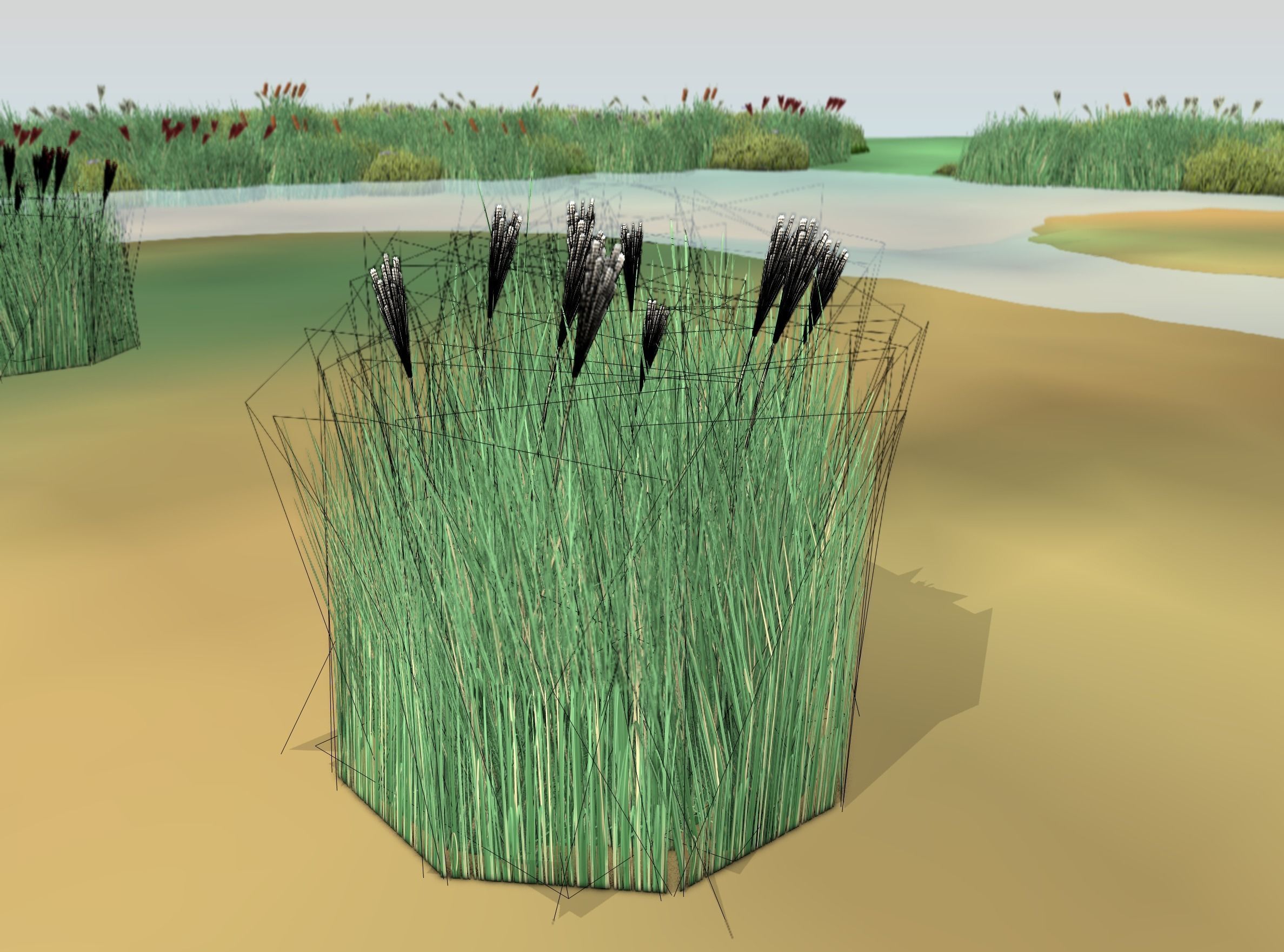 Reeds - Object 53 Low-poly 3D model_4