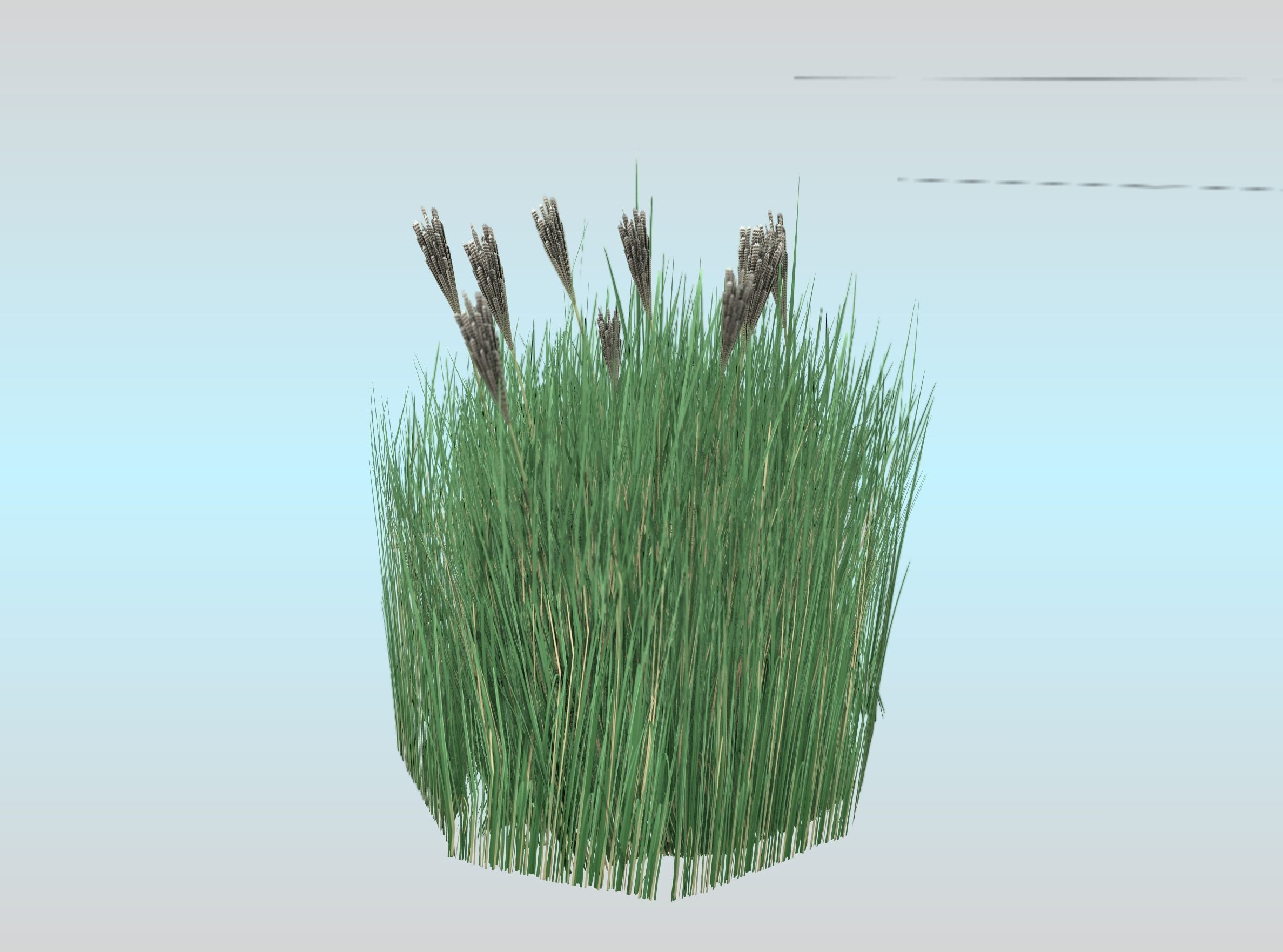 Reeds - Object 53 Low-poly 3D model_24