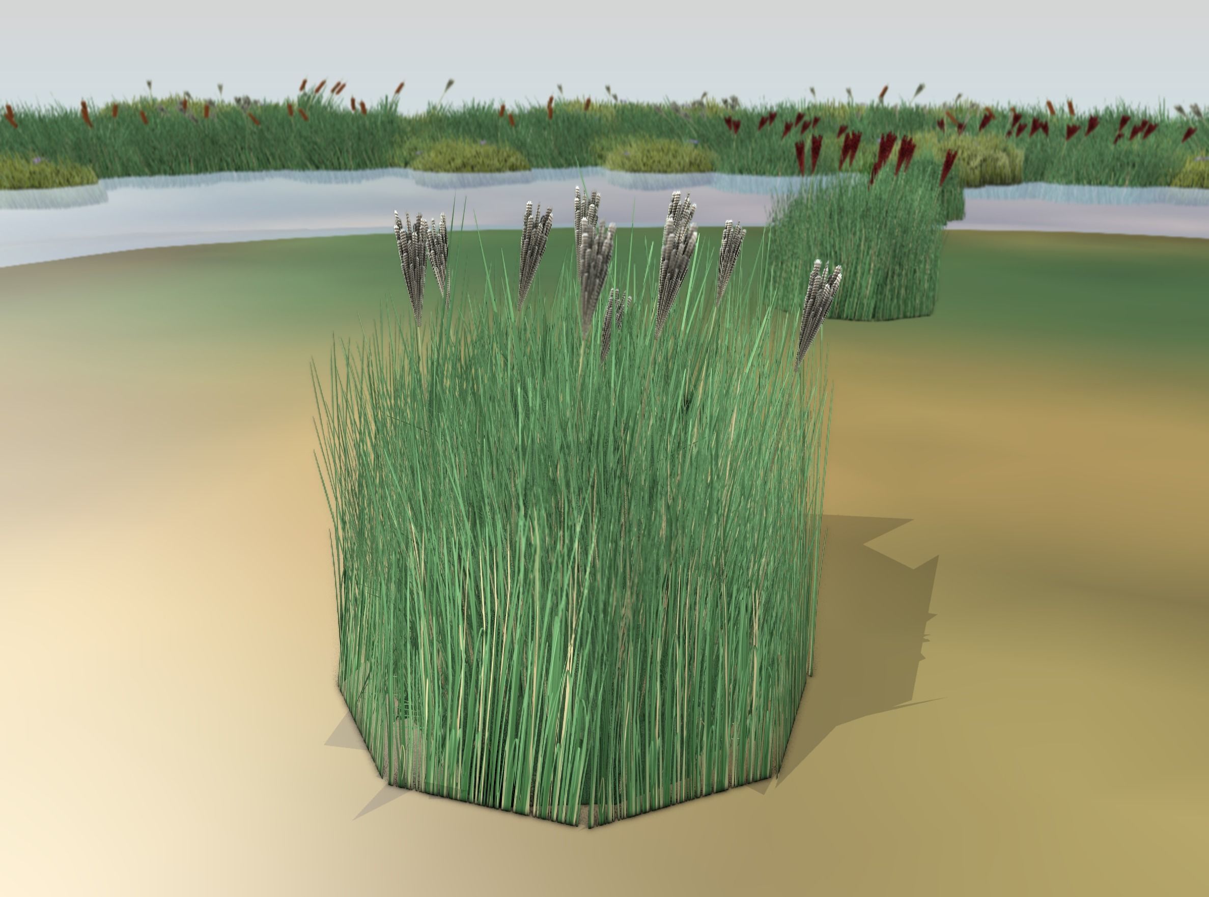 Reeds - Object 53 Low-poly 3D model_12