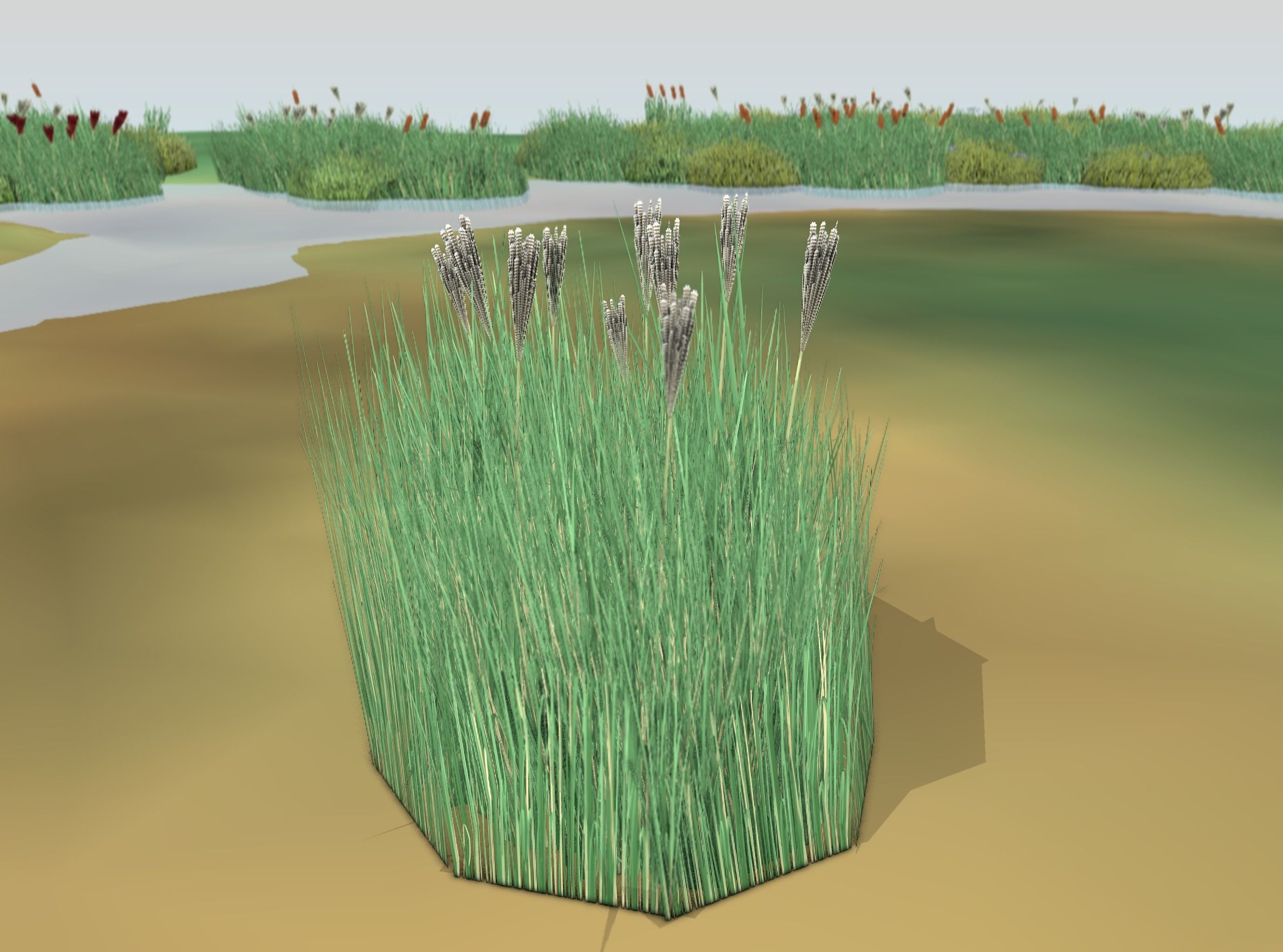 Reeds - Object 53 Low-poly 3D model_42