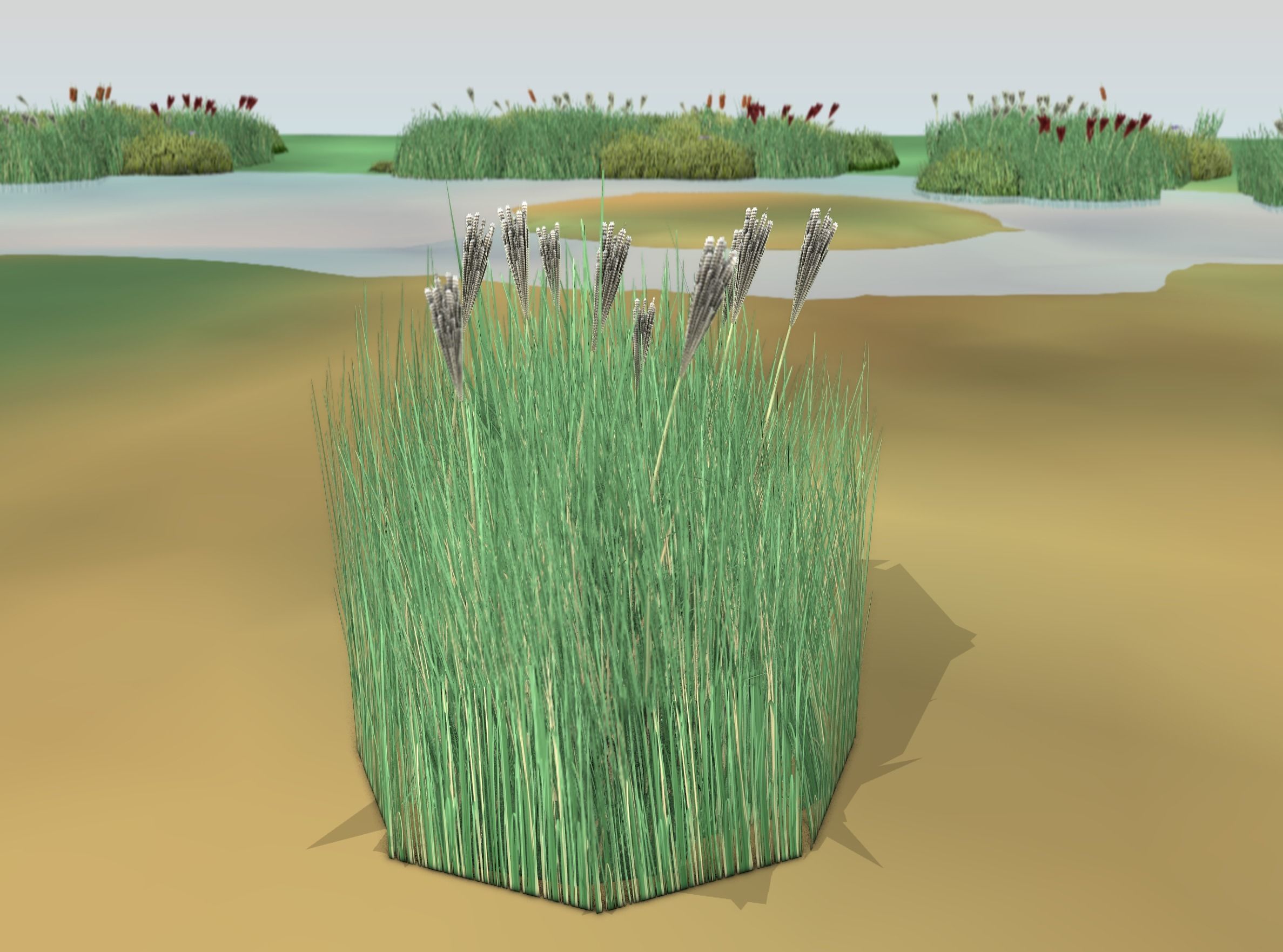 Reeds - Object 53 Low-poly 3D model_49
