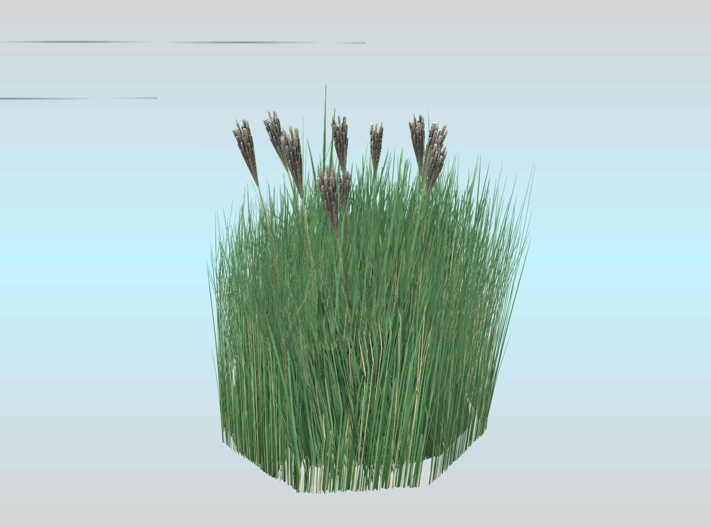 Reeds - Object 53 Low-poly 3D model_21