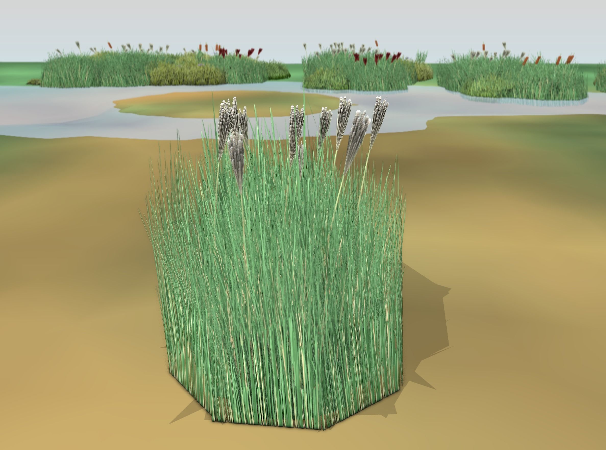 Reeds - Object 53 Low-poly 3D model_47