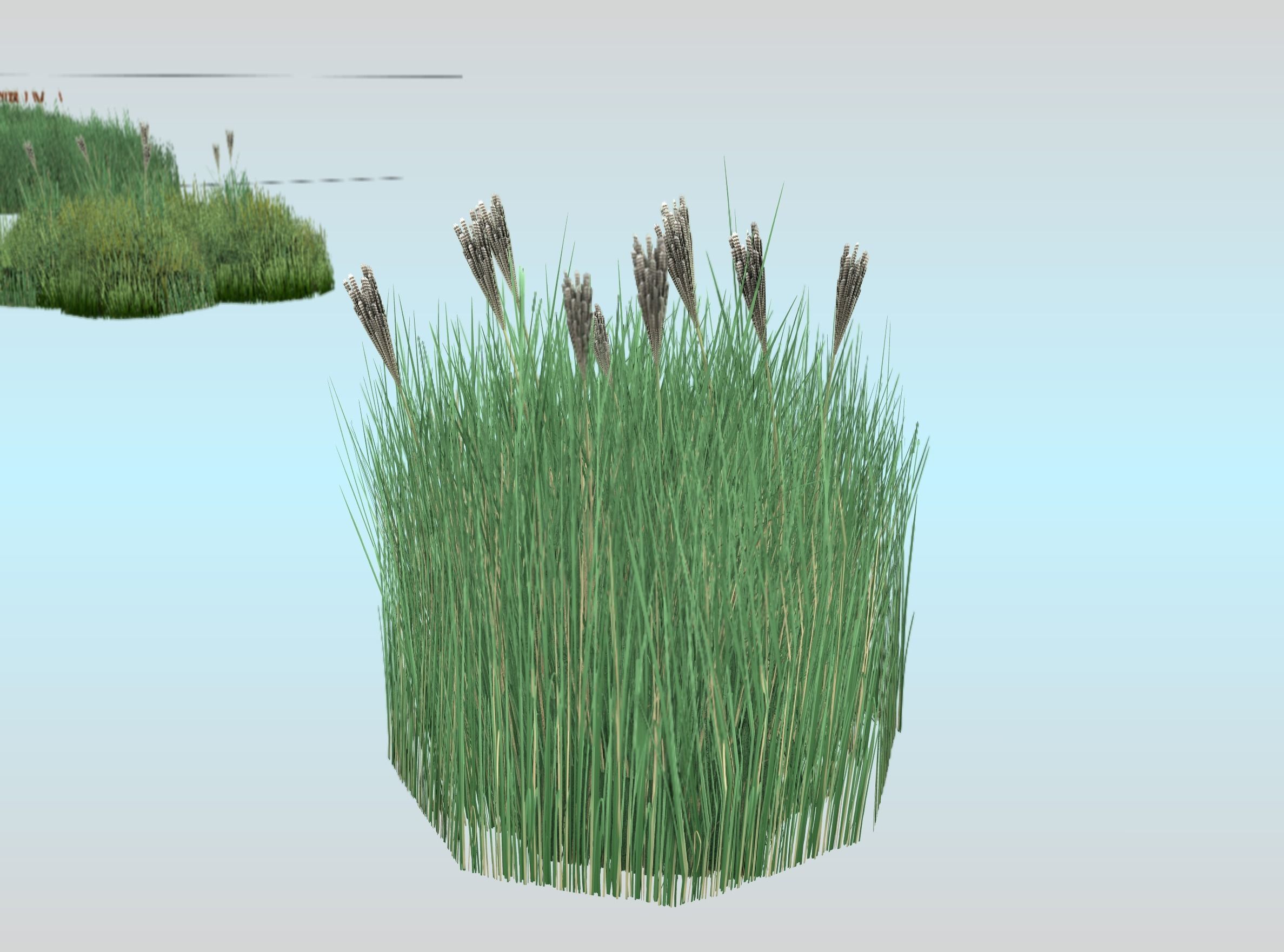 Reeds - Object 53 Low-poly 3D model_30