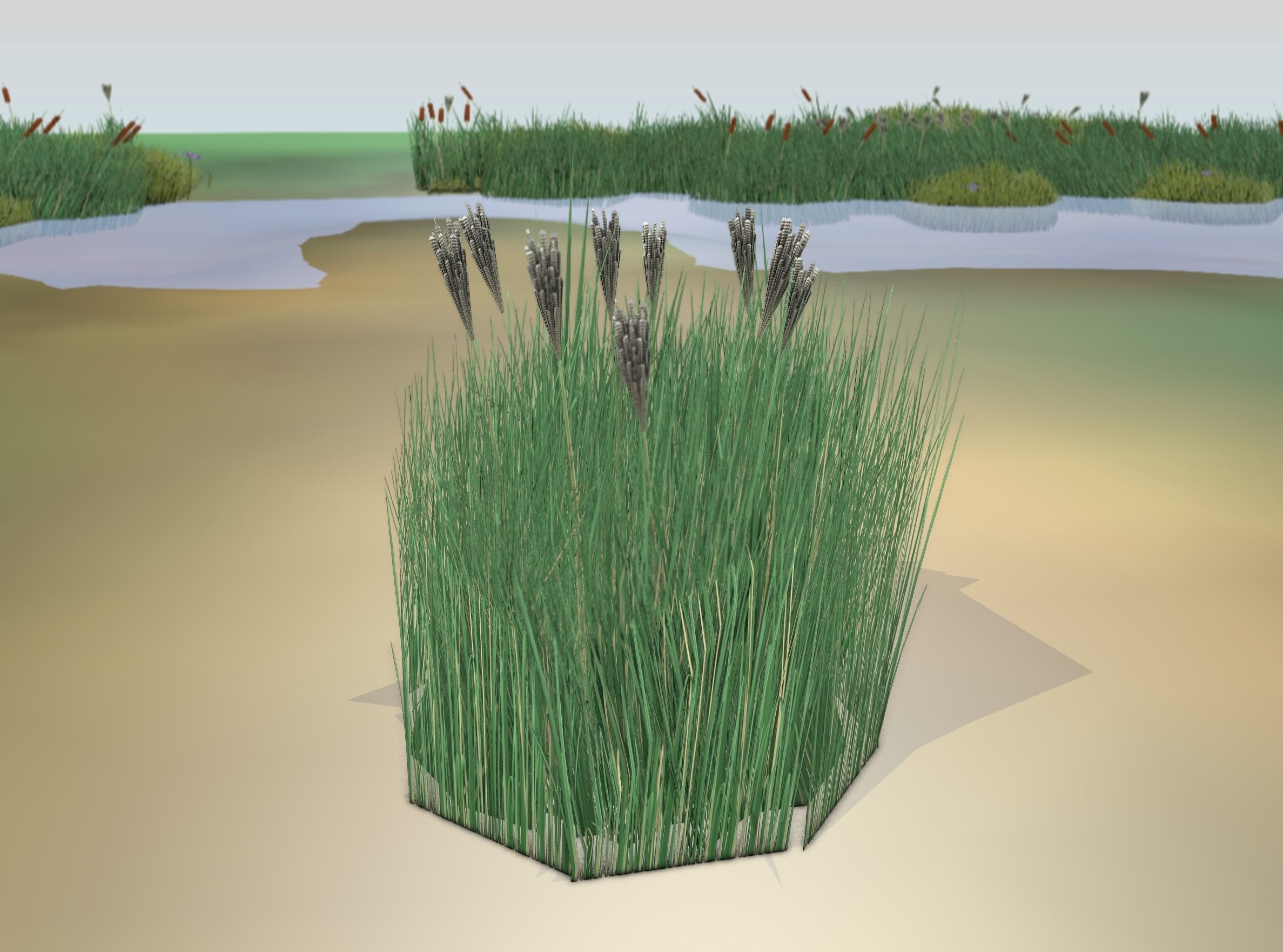 Reeds - Object 53 Low-poly 3D model_20