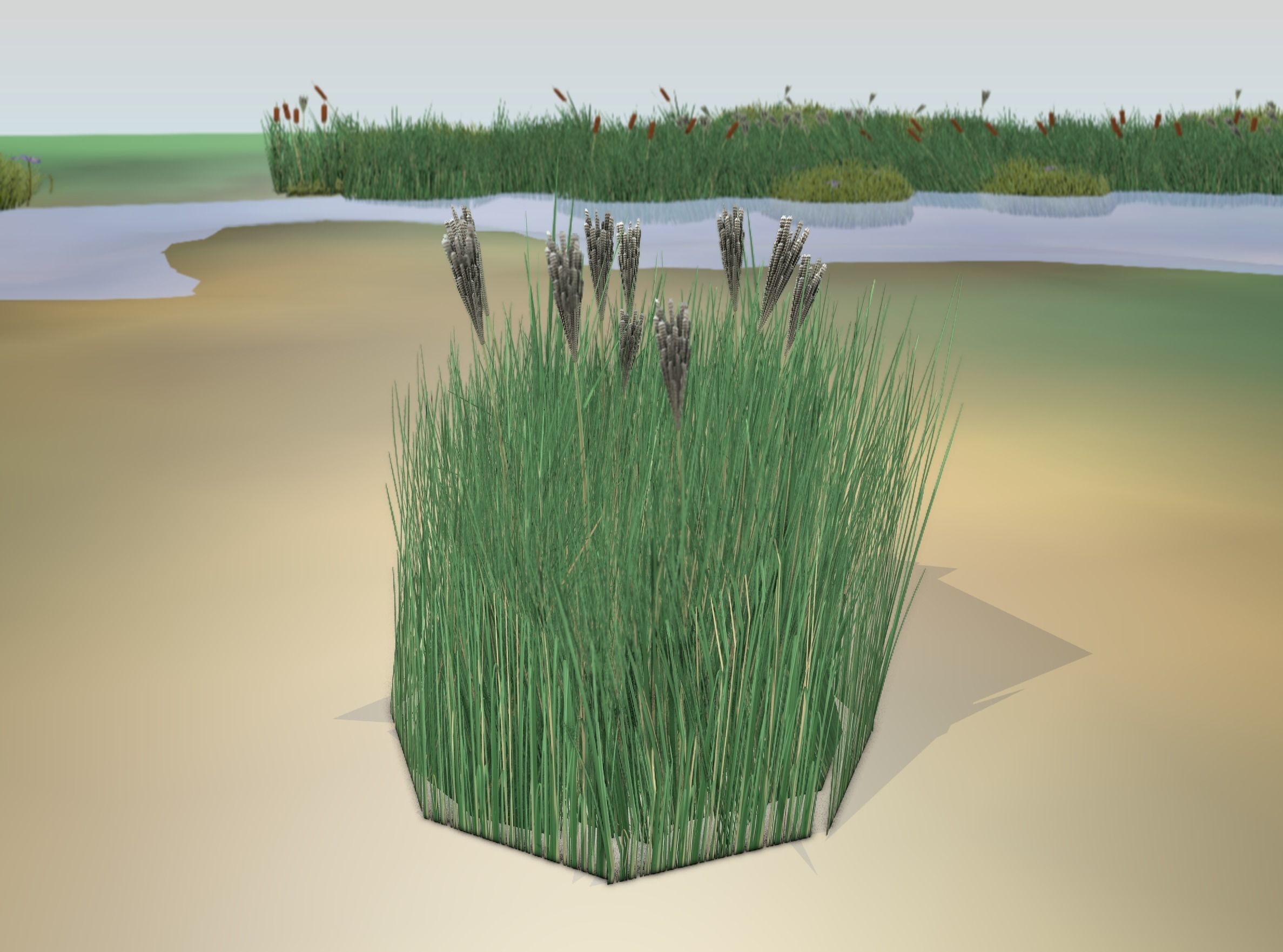Reeds - Object 53 Low-poly 3D model_19