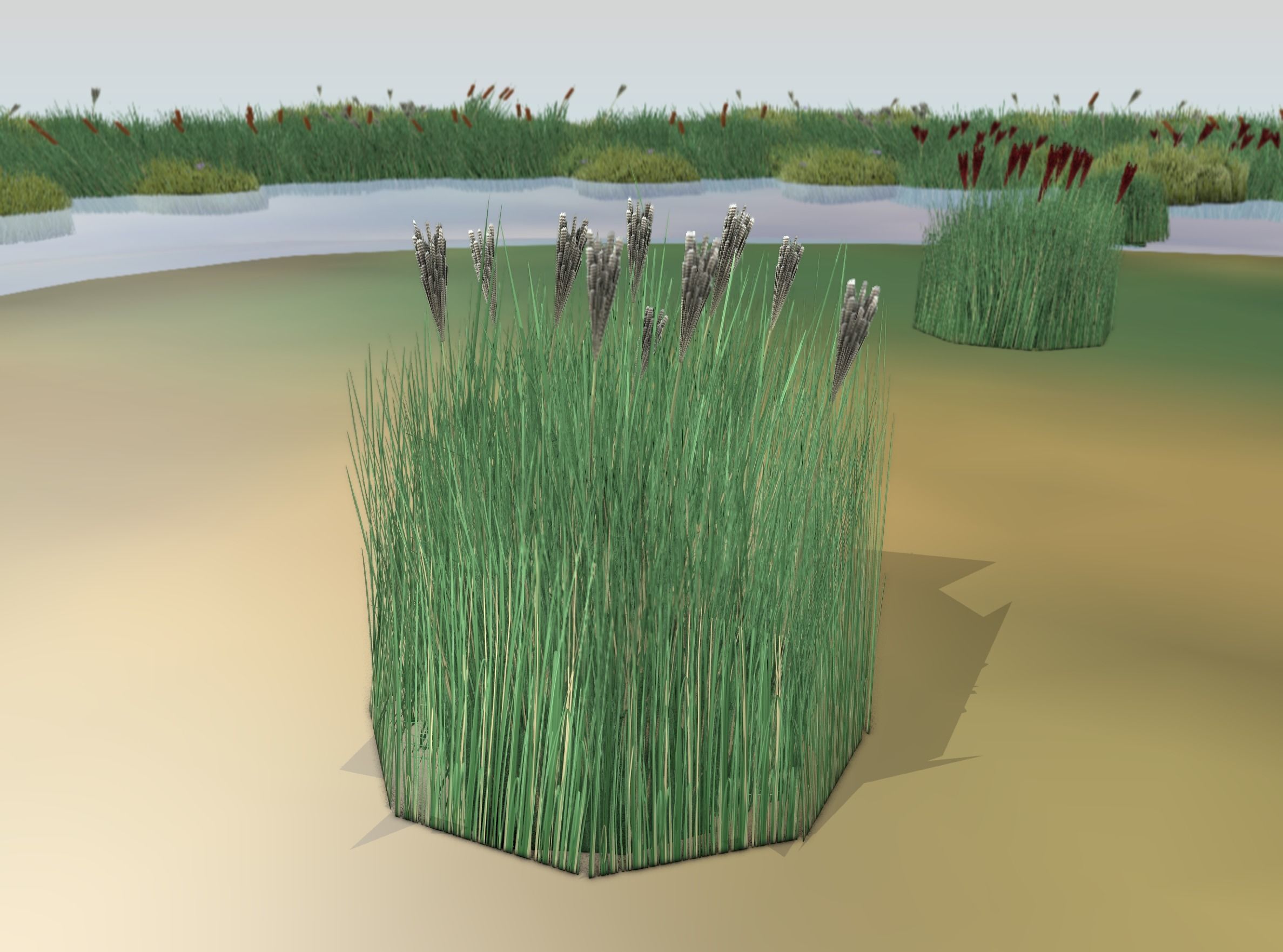 Reeds - Object 53 Low-poly 3D model_13