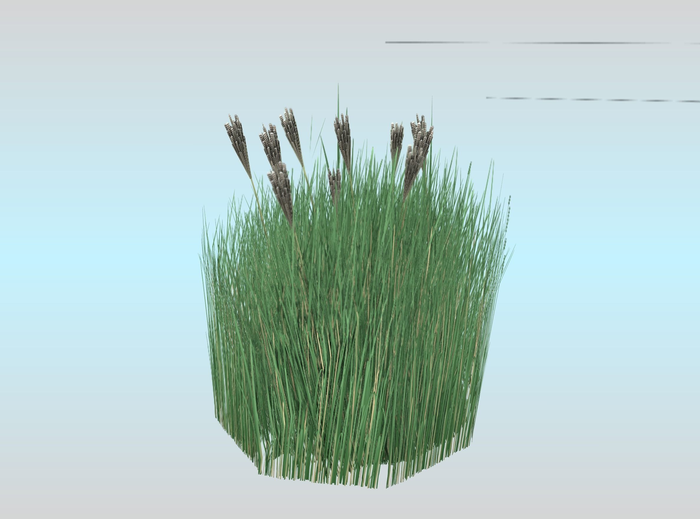 Reeds - Object 53 Low-poly 3D model_23