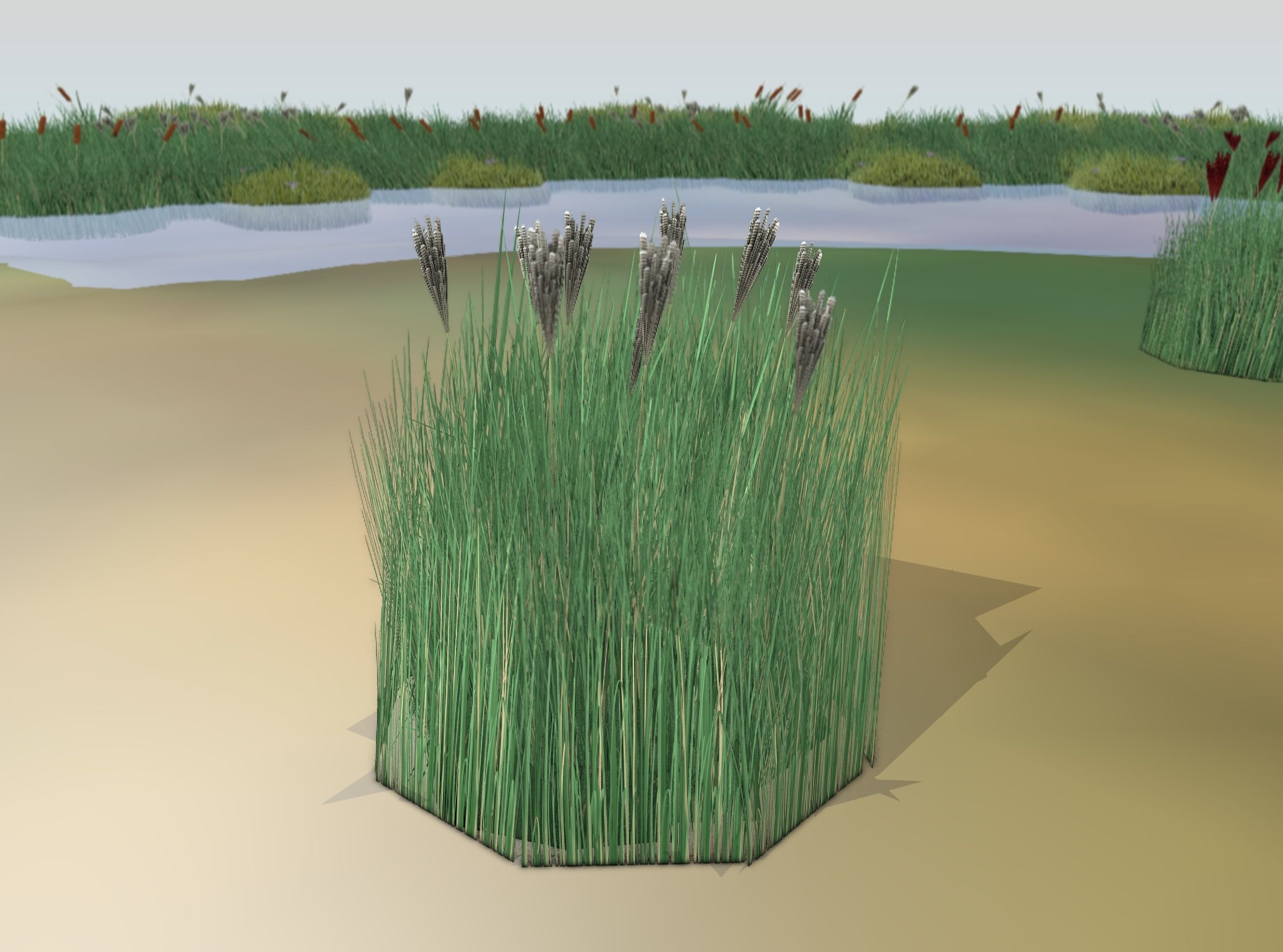 Reeds - Object 53 Low-poly 3D model_15