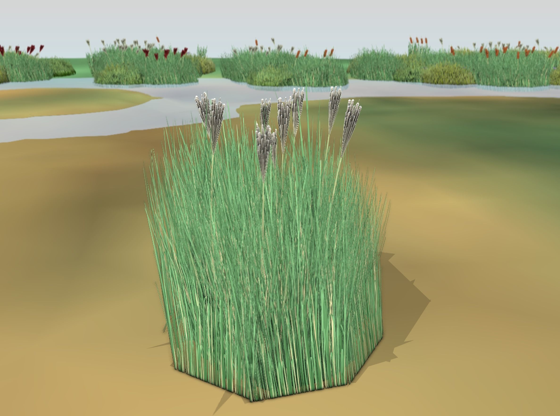 Reeds - Object 53 Low-poly 3D model_44
