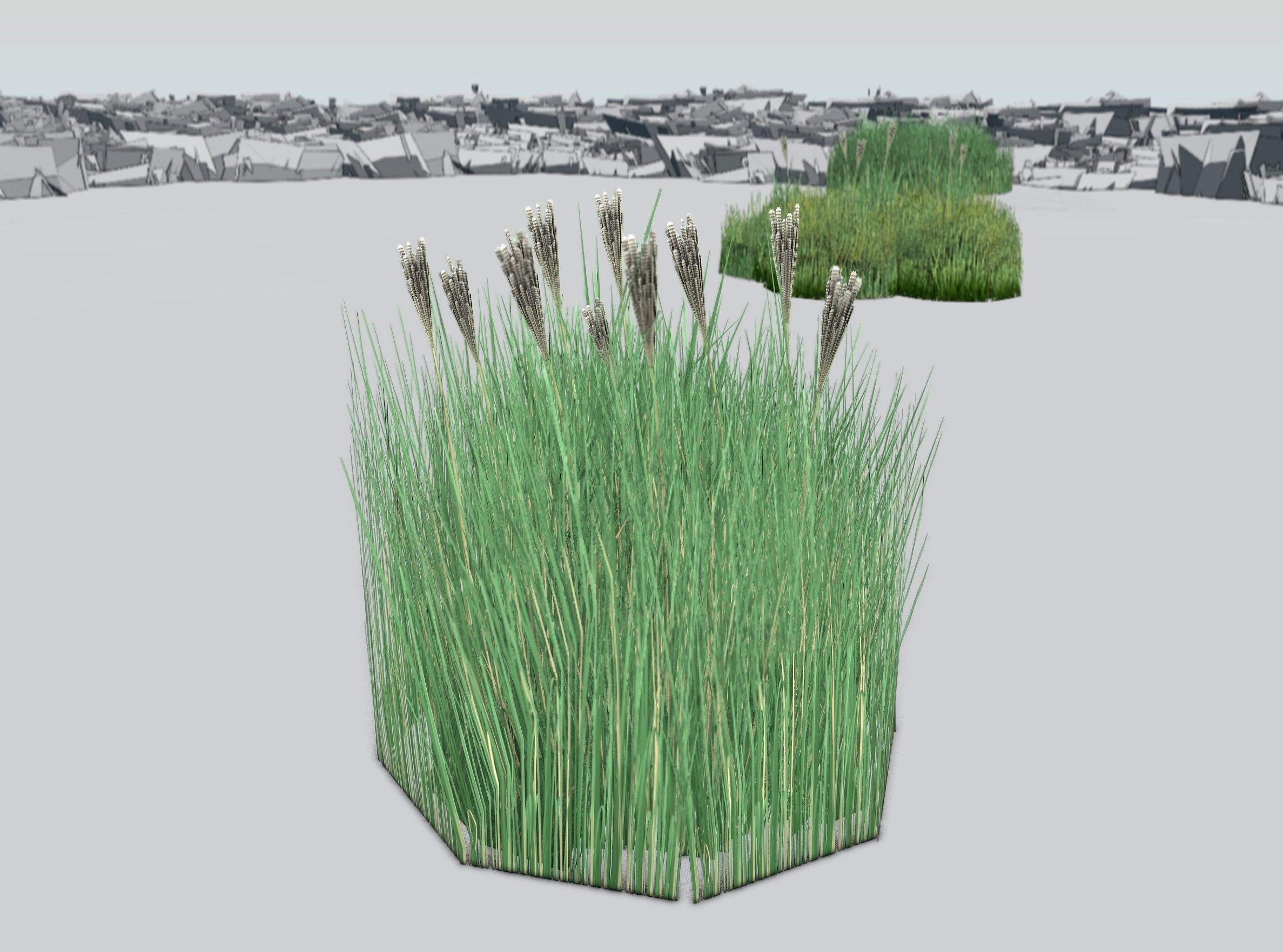 Reeds - Object 53 Low-poly 3D model_36