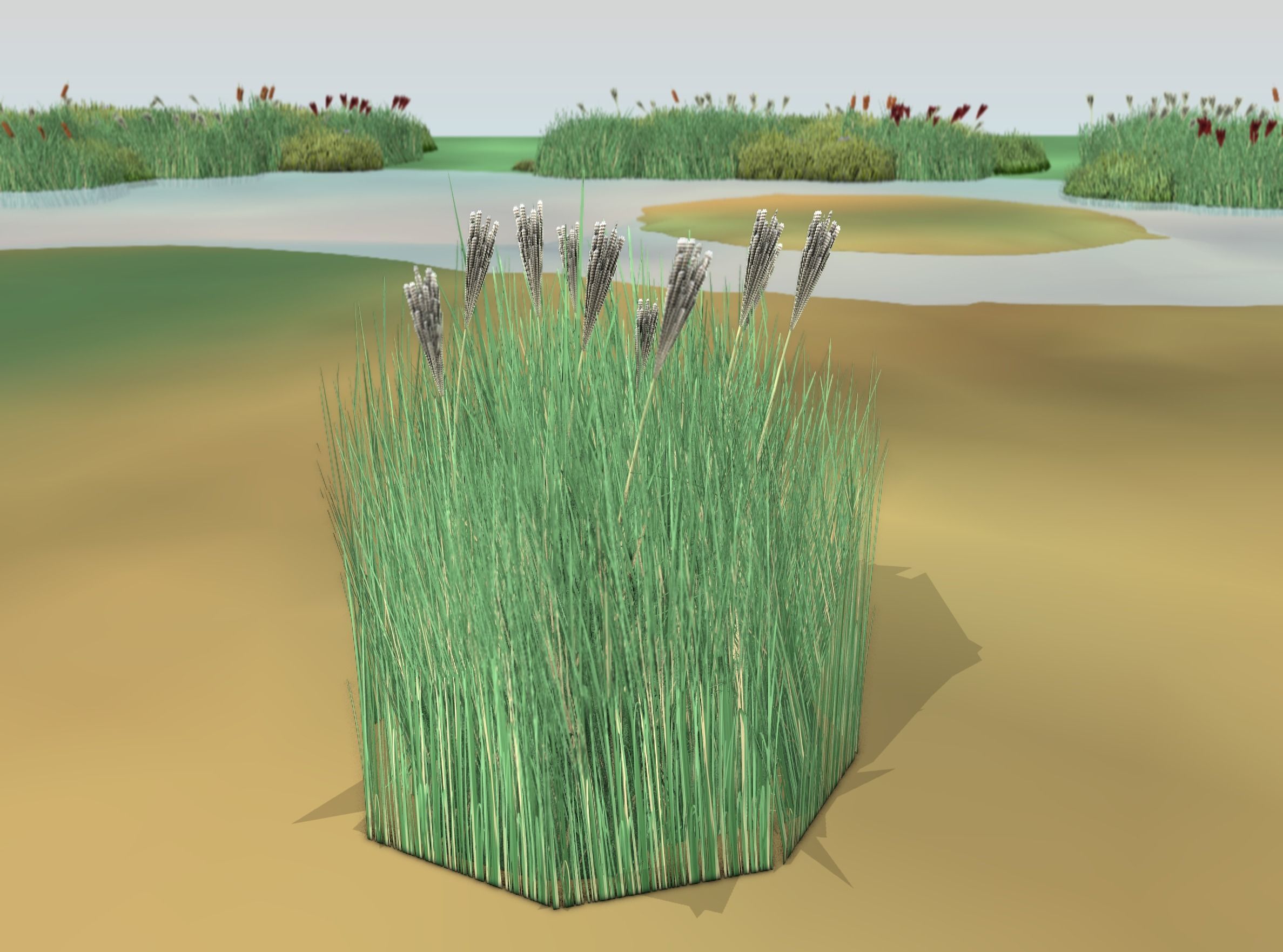 Reeds - Object 53 Low-poly 3D model_50