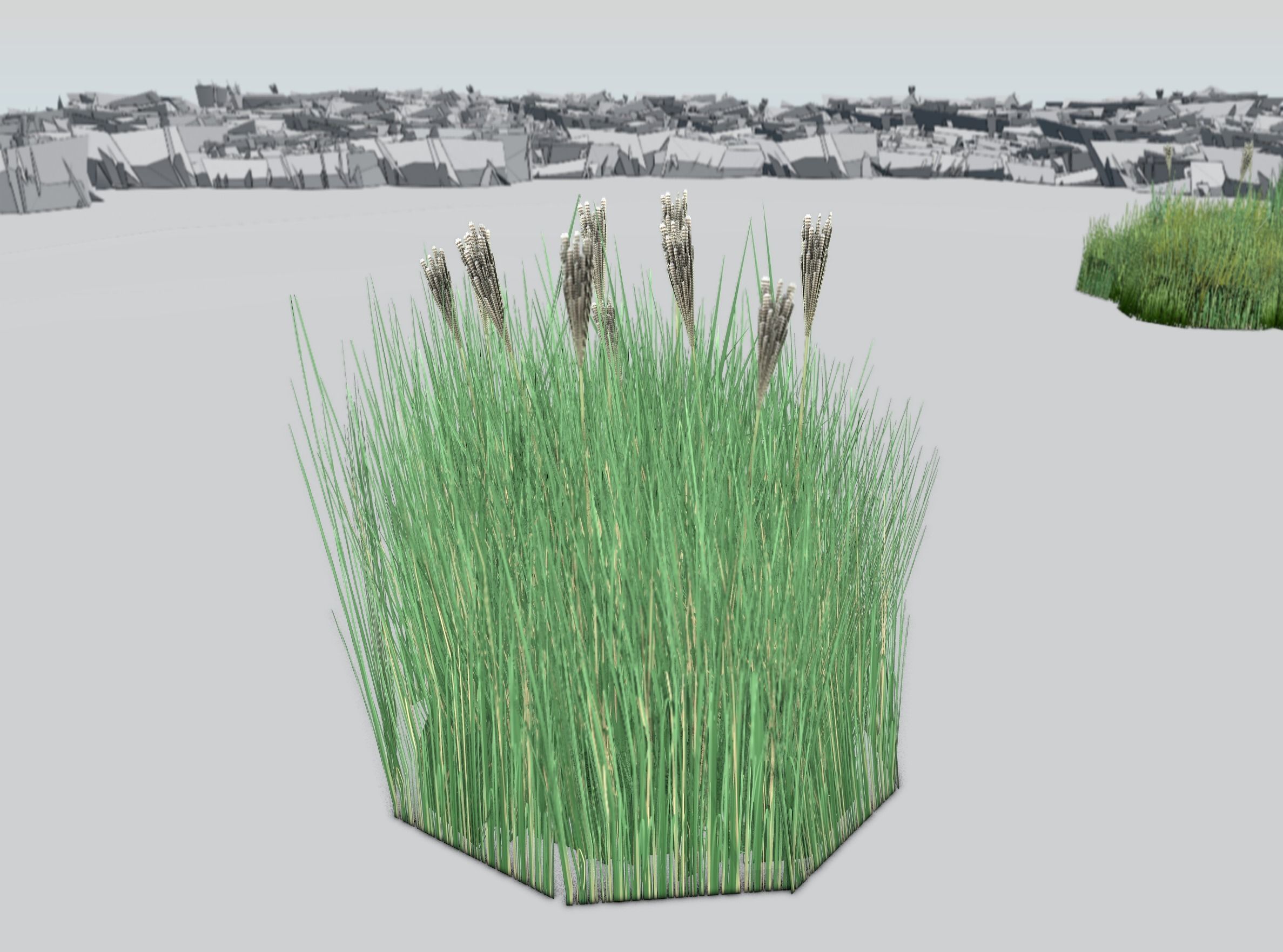 Reeds - Object 53 Low-poly 3D model_39