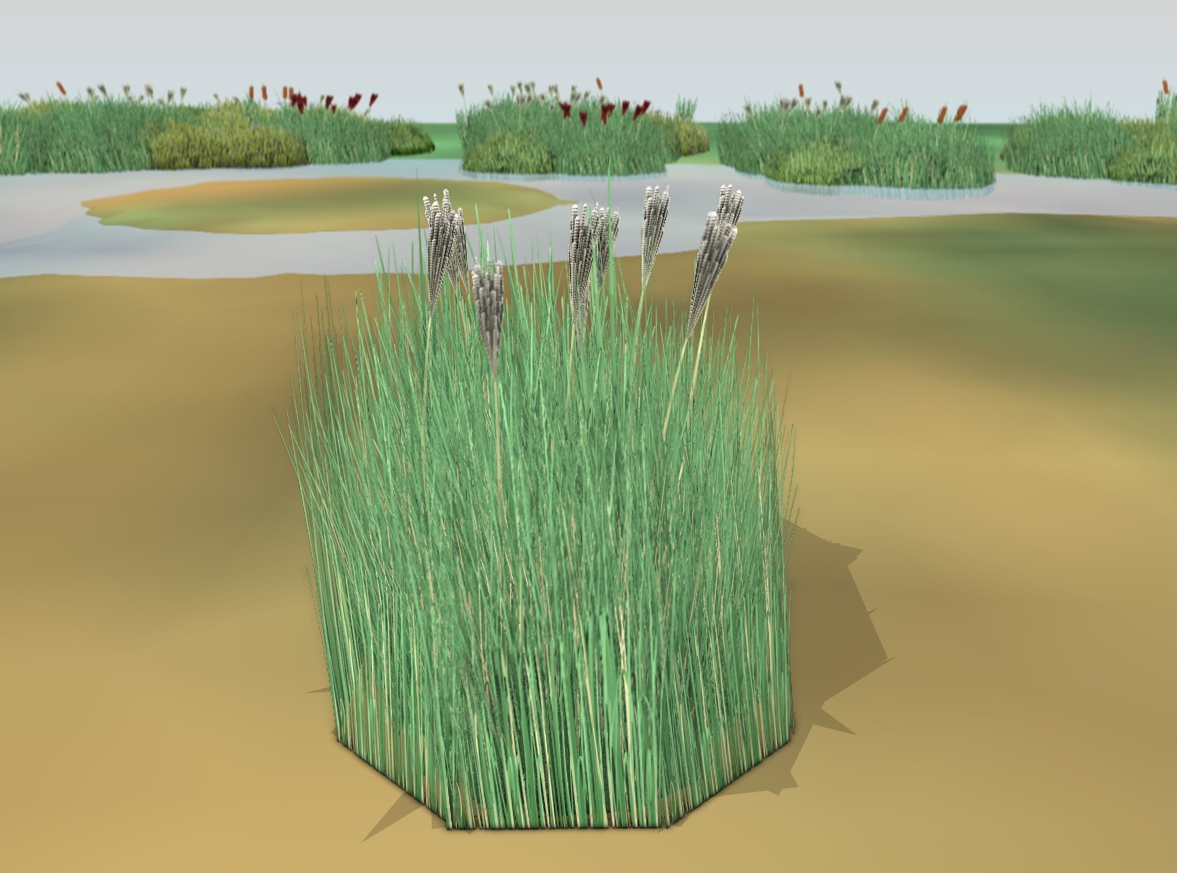 Reeds - Object 53 Low-poly 3D model_46