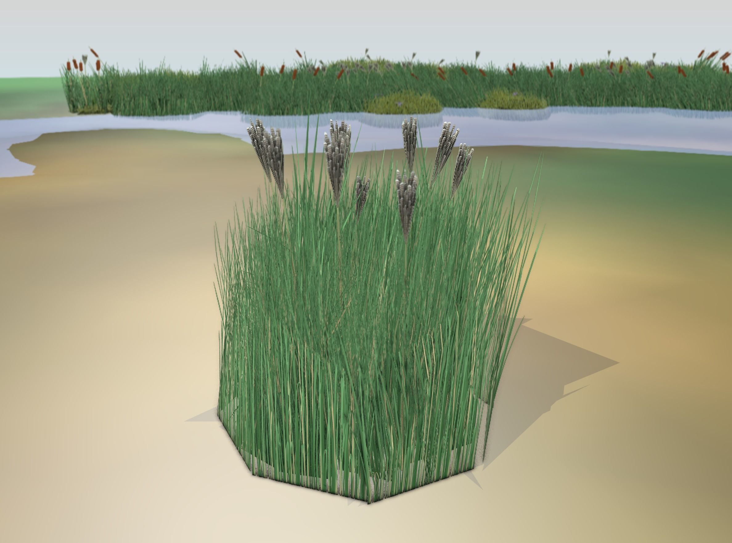 Reeds - Object 53 Low-poly 3D model_18