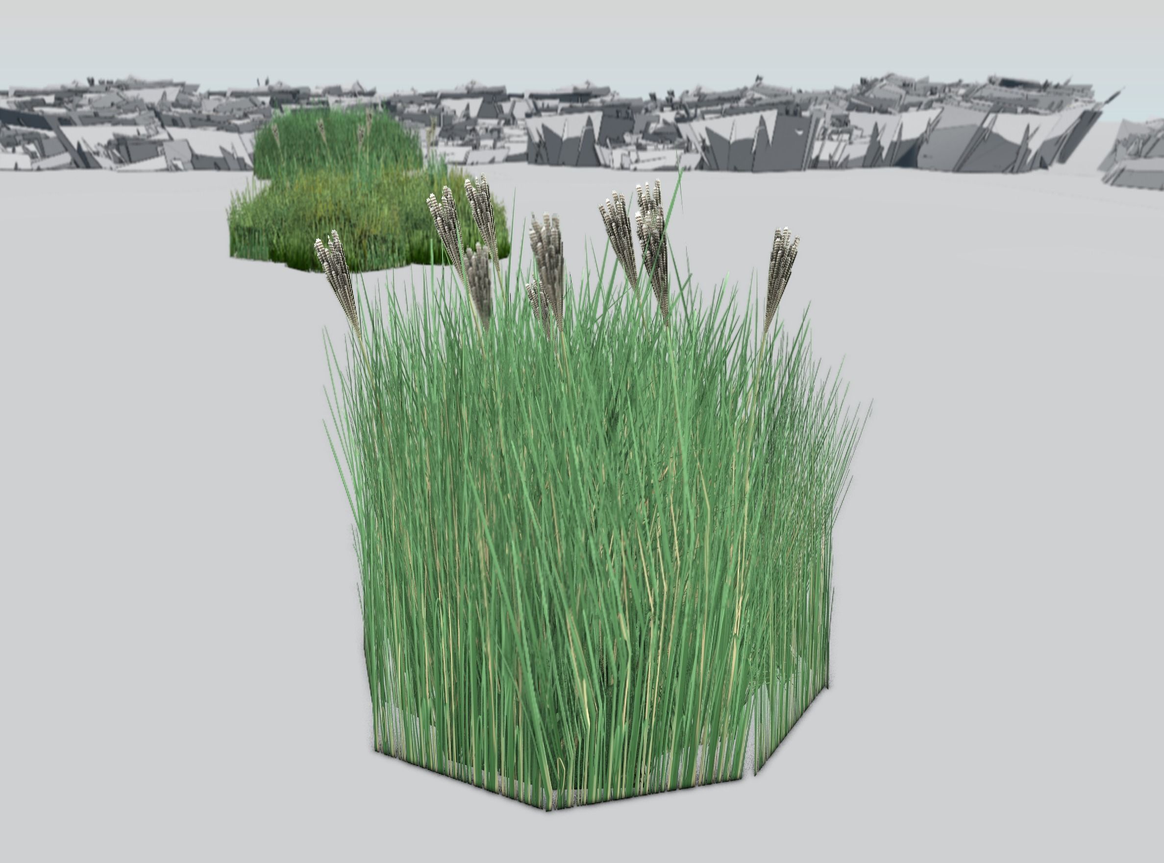 Reeds - Object 53 Low-poly 3D model_32