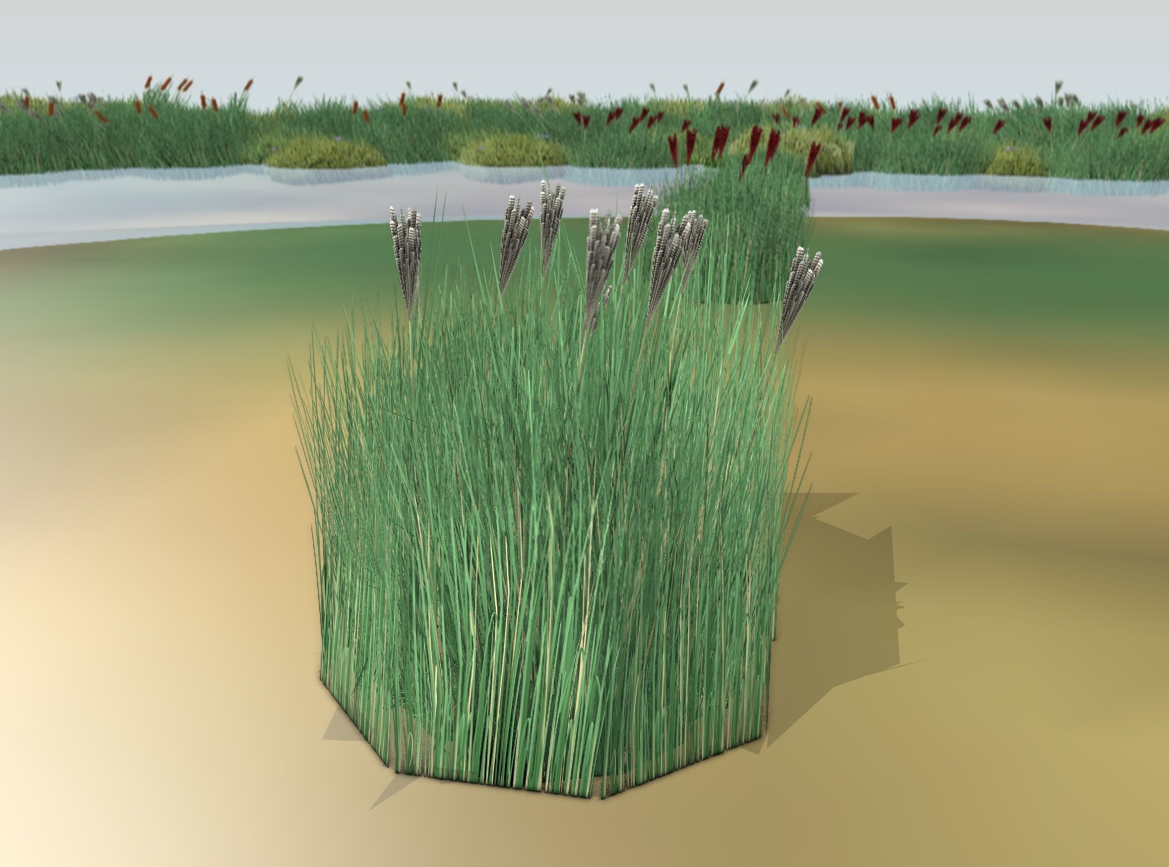 Reeds - Object 53 Low-poly 3D model_11