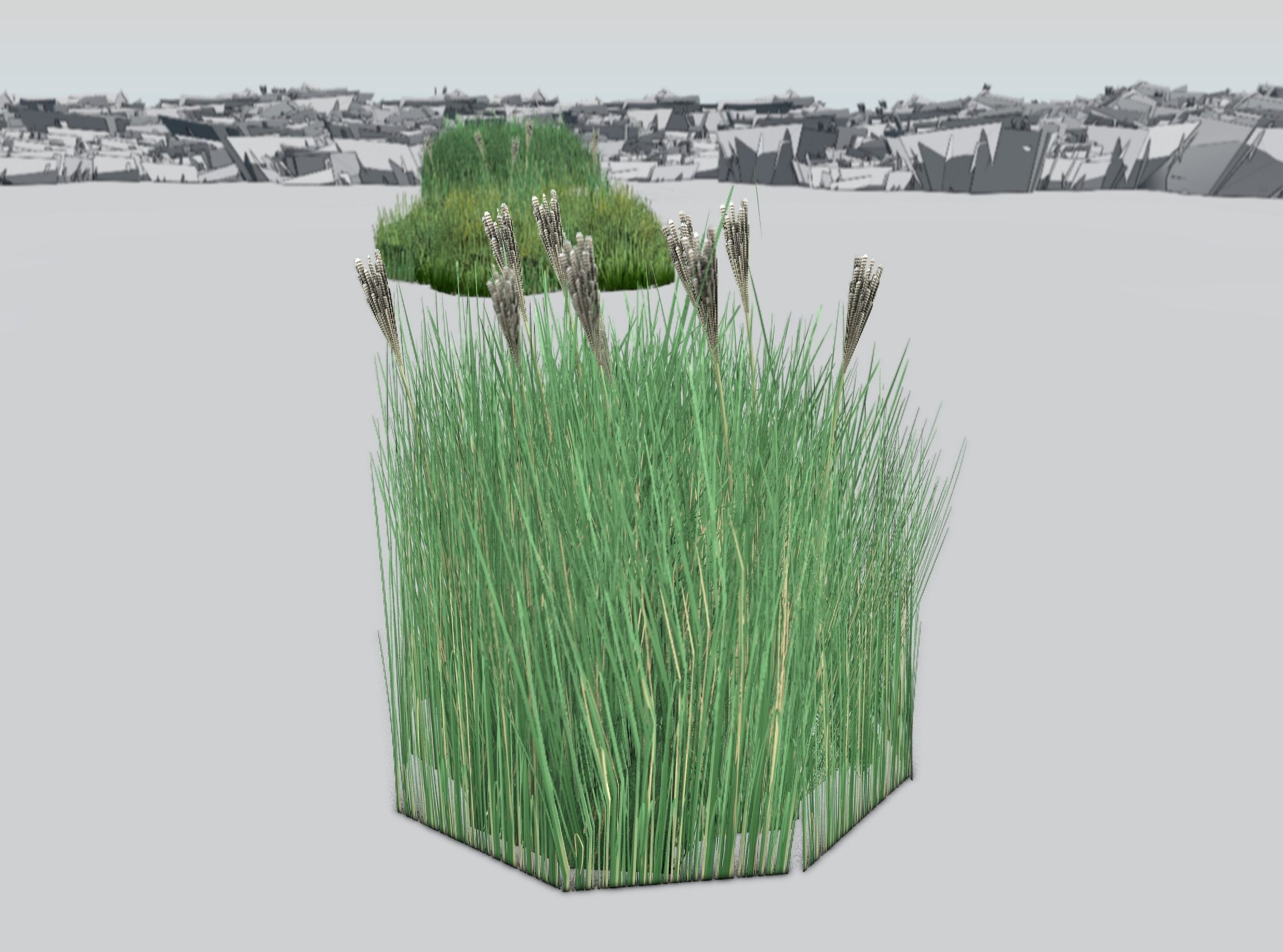 Reeds - Object 53 Low-poly 3D model_33