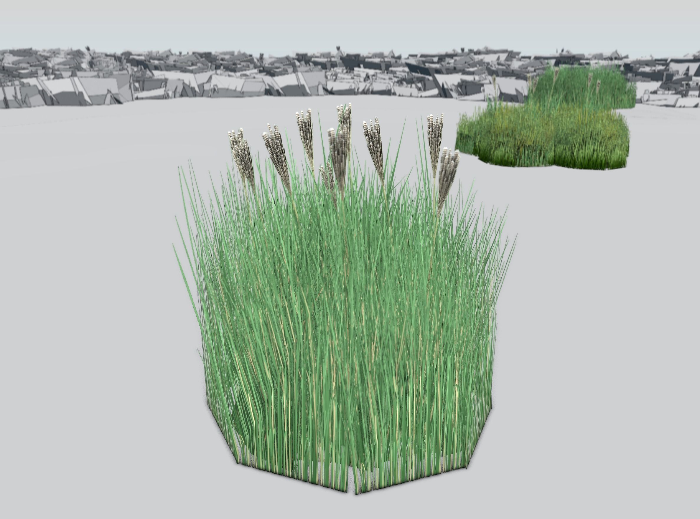 Reeds - Object 53 Low-poly 3D model_37