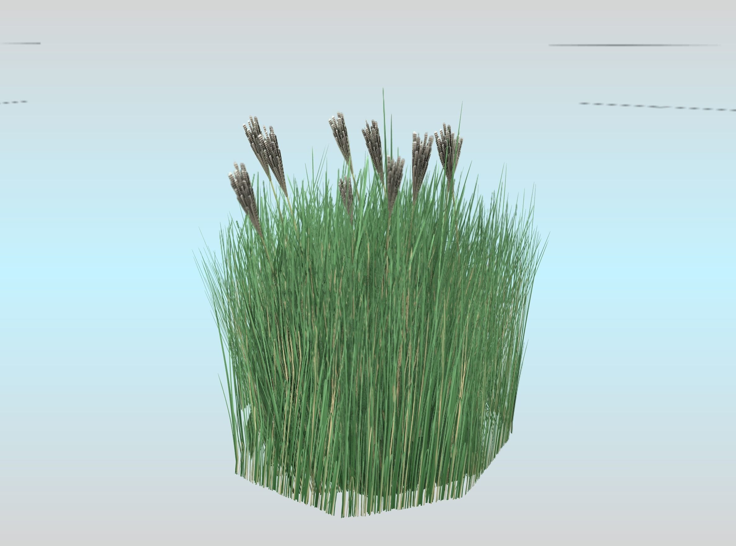 Reeds - Object 53 Low-poly 3D model_26