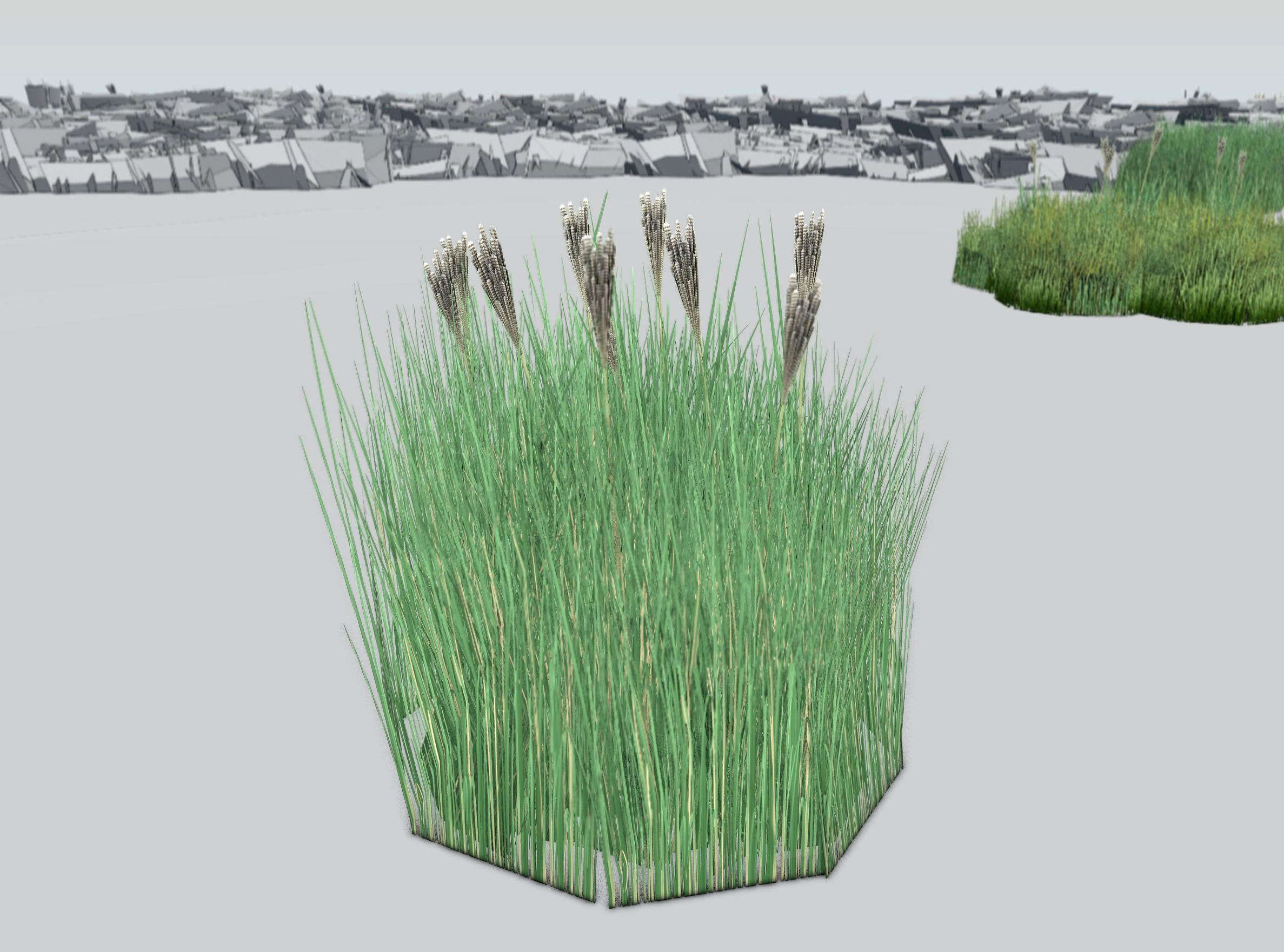 Reeds - Object 53 Low-poly 3D model_38