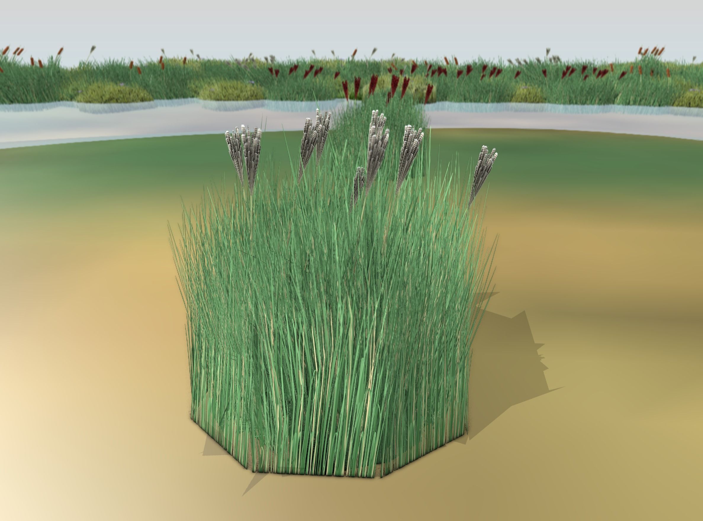 Reeds - Object 53 Low-poly 3D model_10