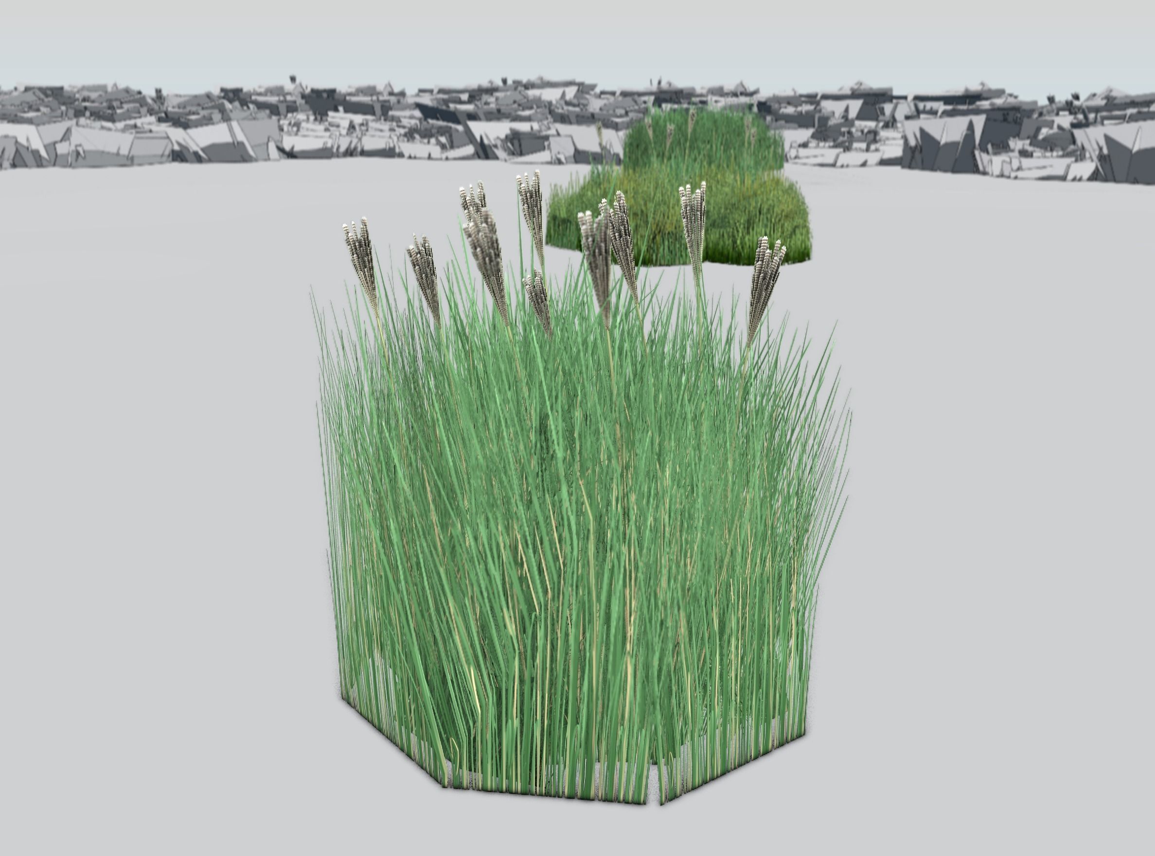 Reeds - Object 53 Low-poly 3D model_35