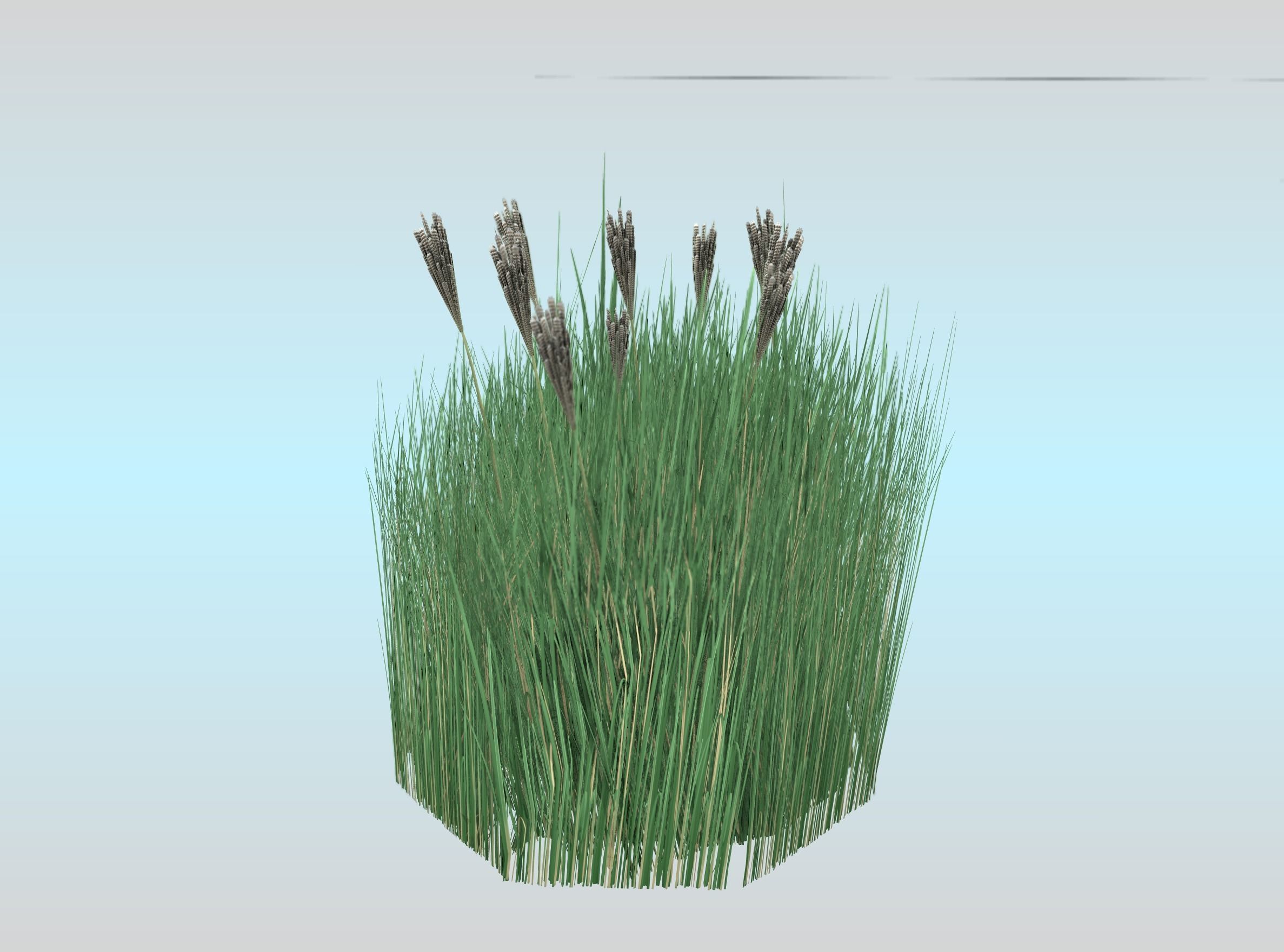 Reeds - Object 53 Low-poly 3D model_22