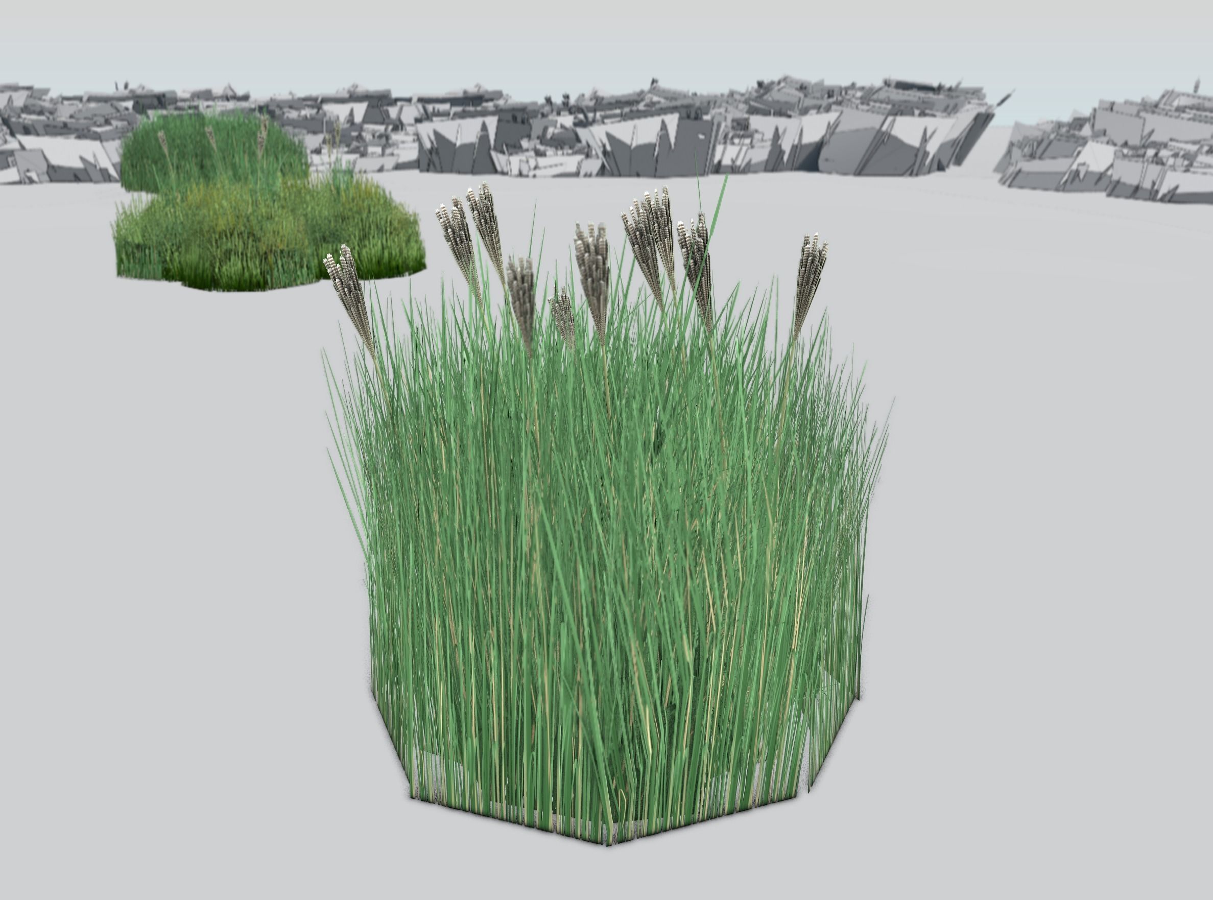 Reeds - Object 53 Low-poly 3D model_31
