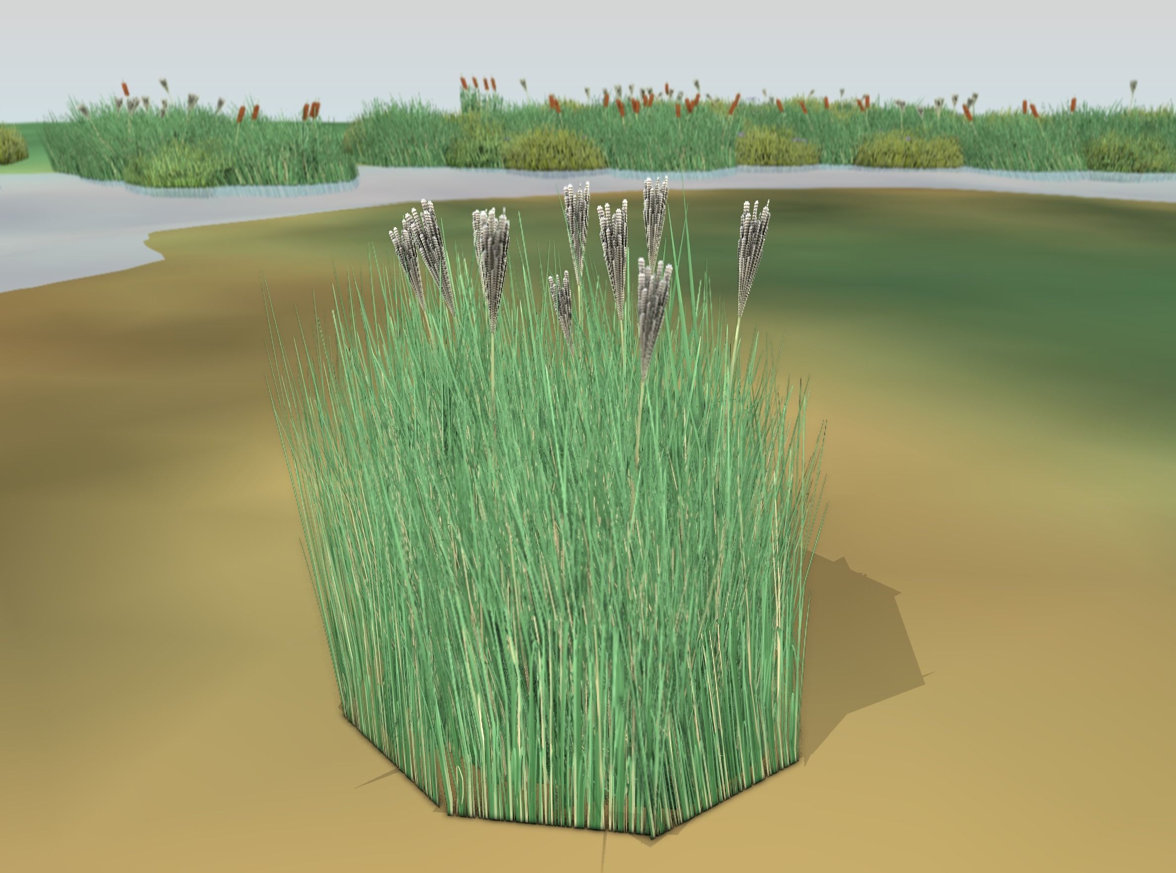 Reeds - Object 53 Low-poly 3D model_41