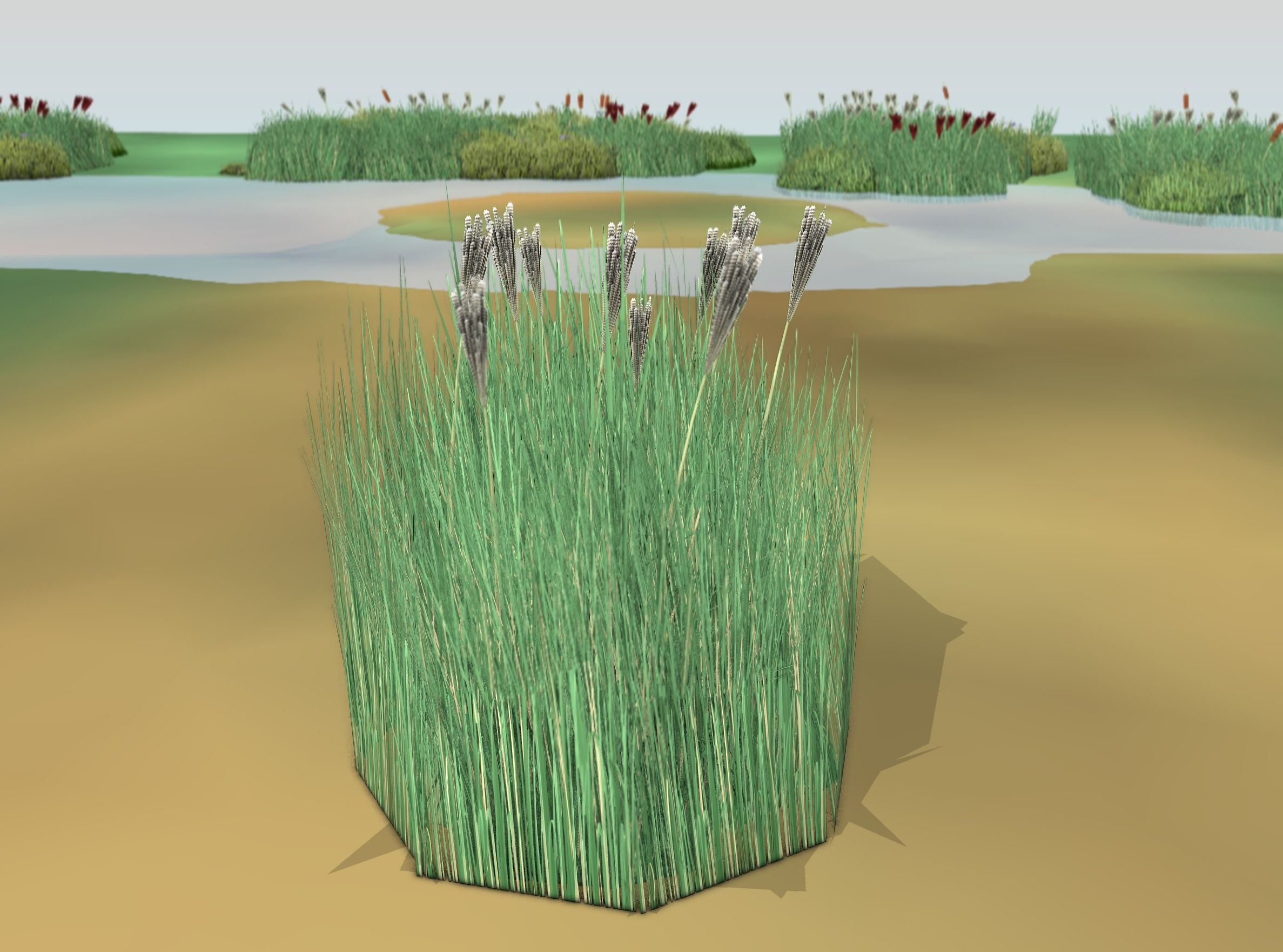Reeds - Object 53 Low-poly 3D model_48