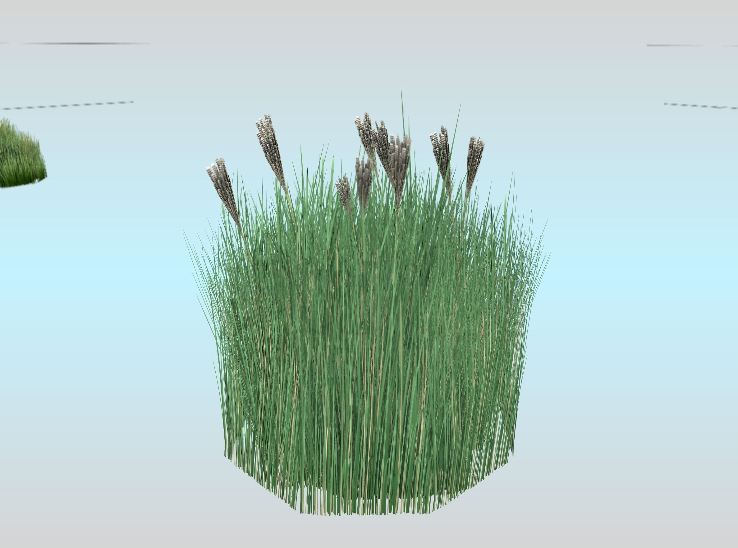 Reeds - Object 53 Low-poly 3D model_28