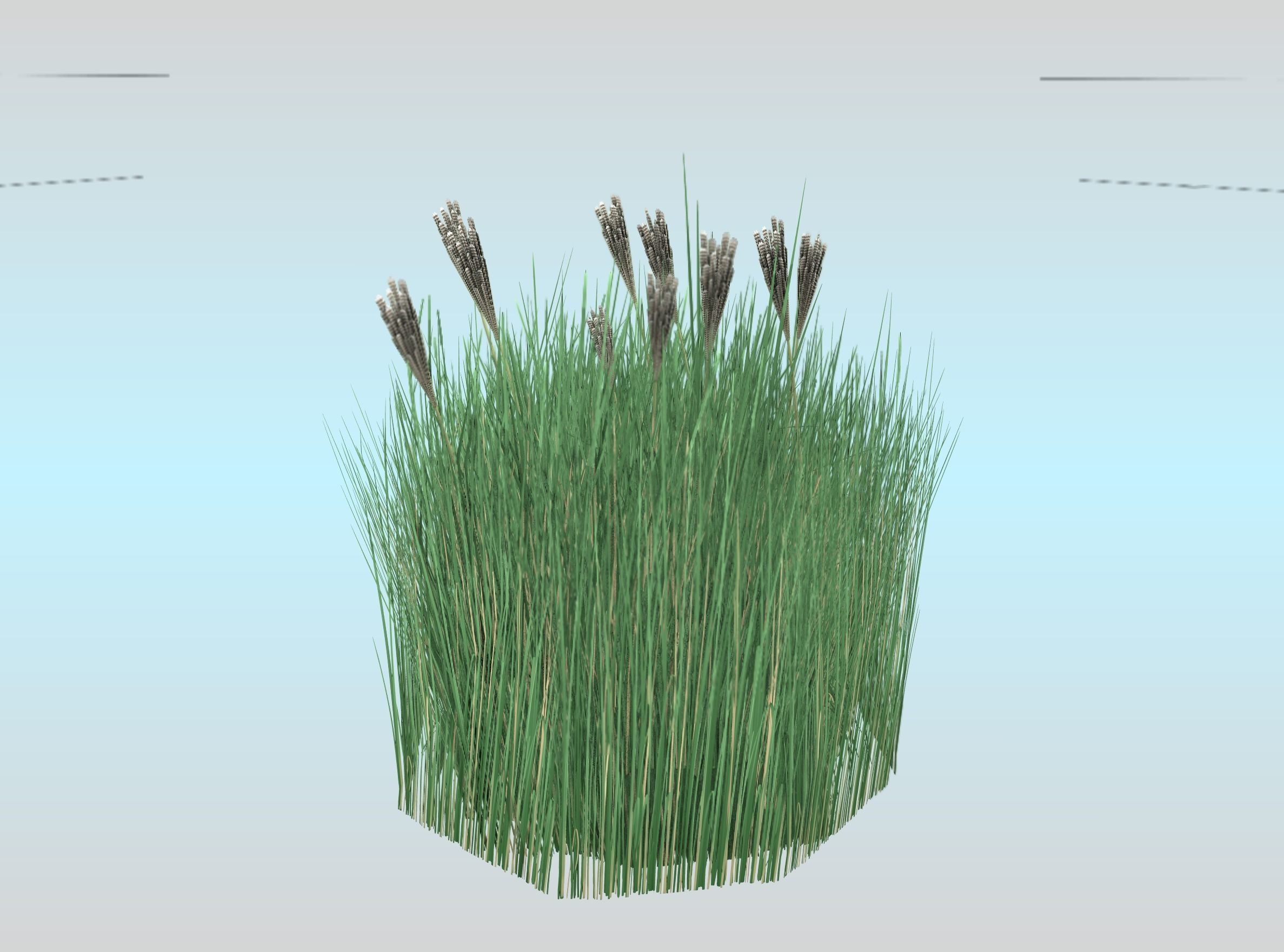 Reeds - Object 53 Low-poly 3D model_27
