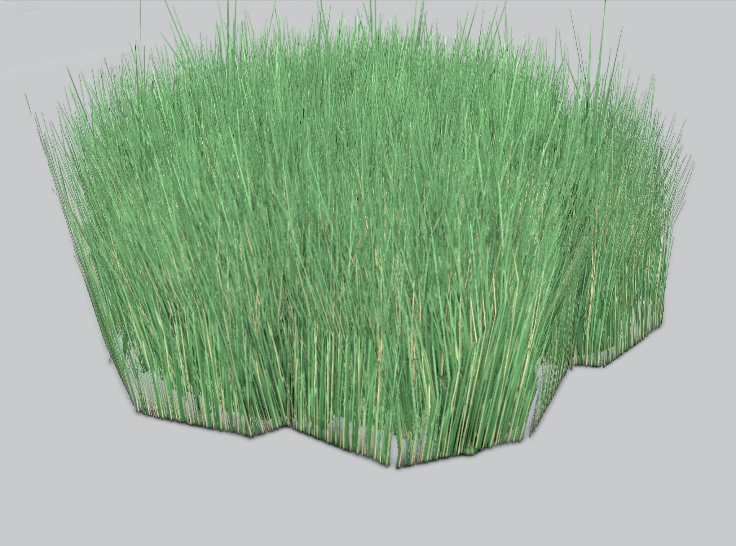 Reeds - Object 55 Low-poly 3D model_40