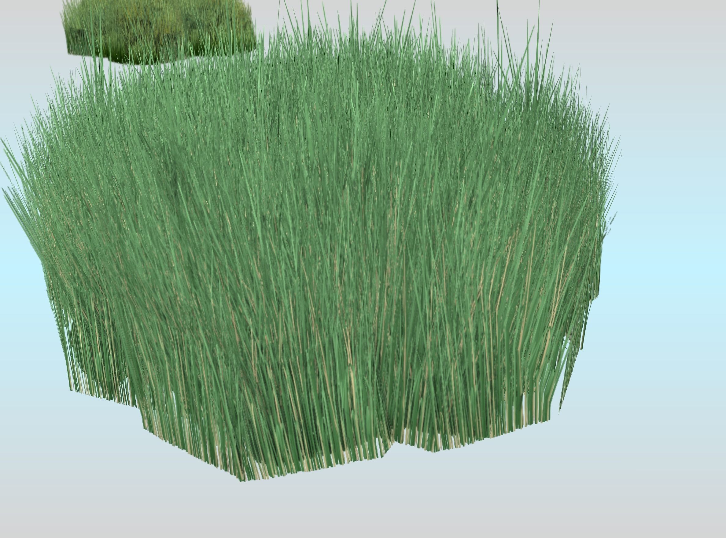 Reeds - Object 55 Low-poly 3D model_29