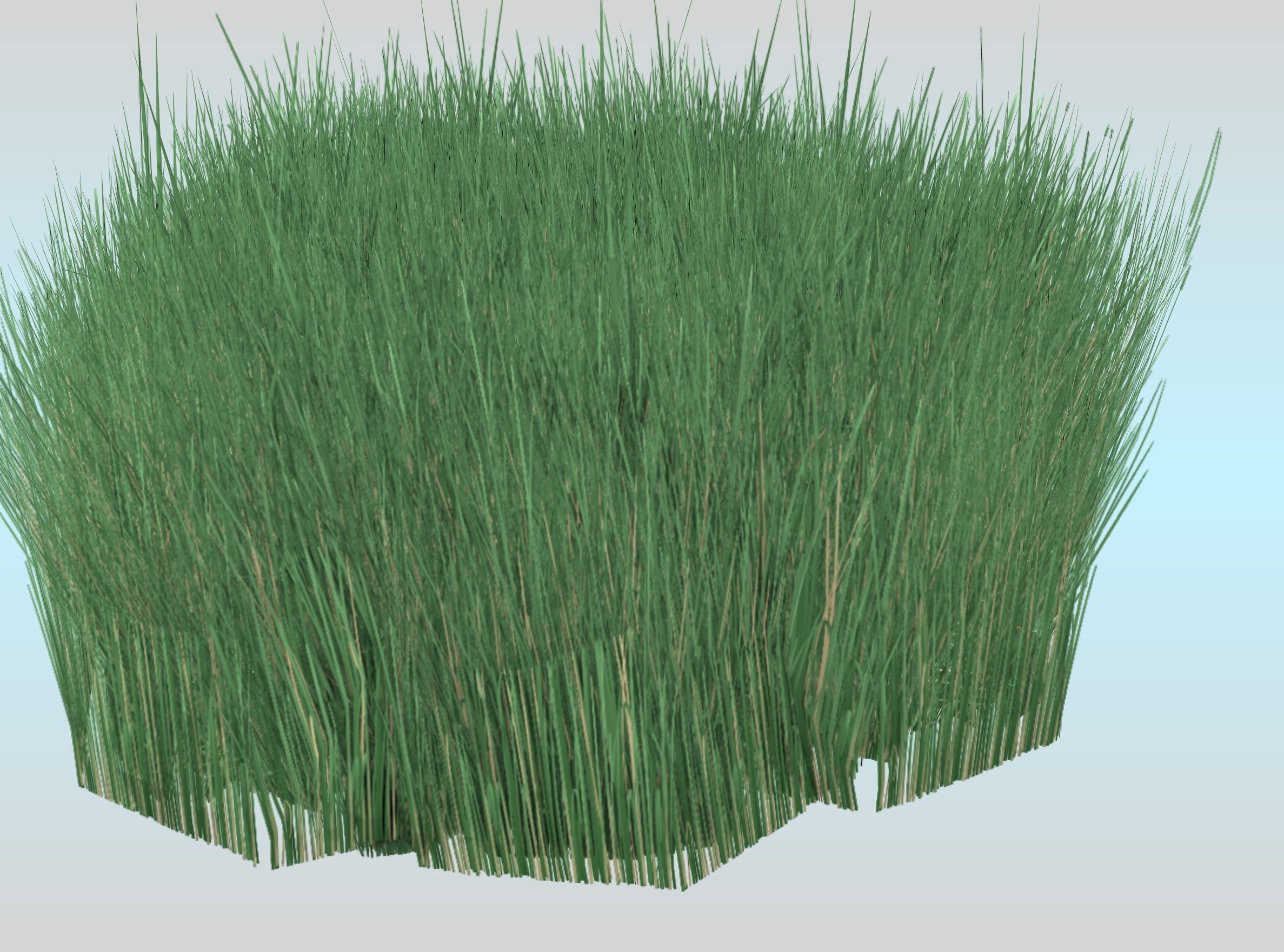 Reeds - Object 55 Low-poly 3D model_21