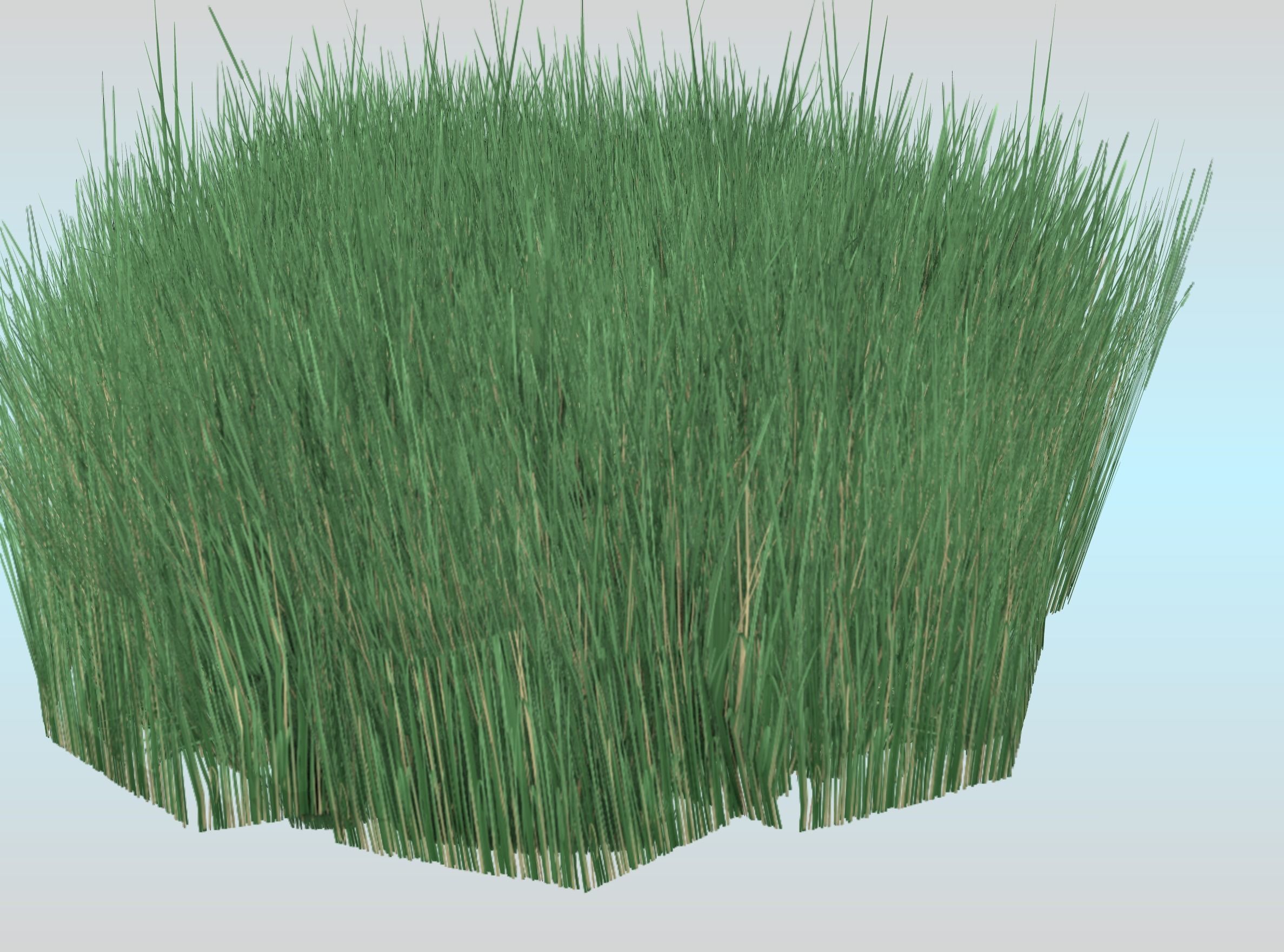 Reeds - Object 55 Low-poly 3D model_22